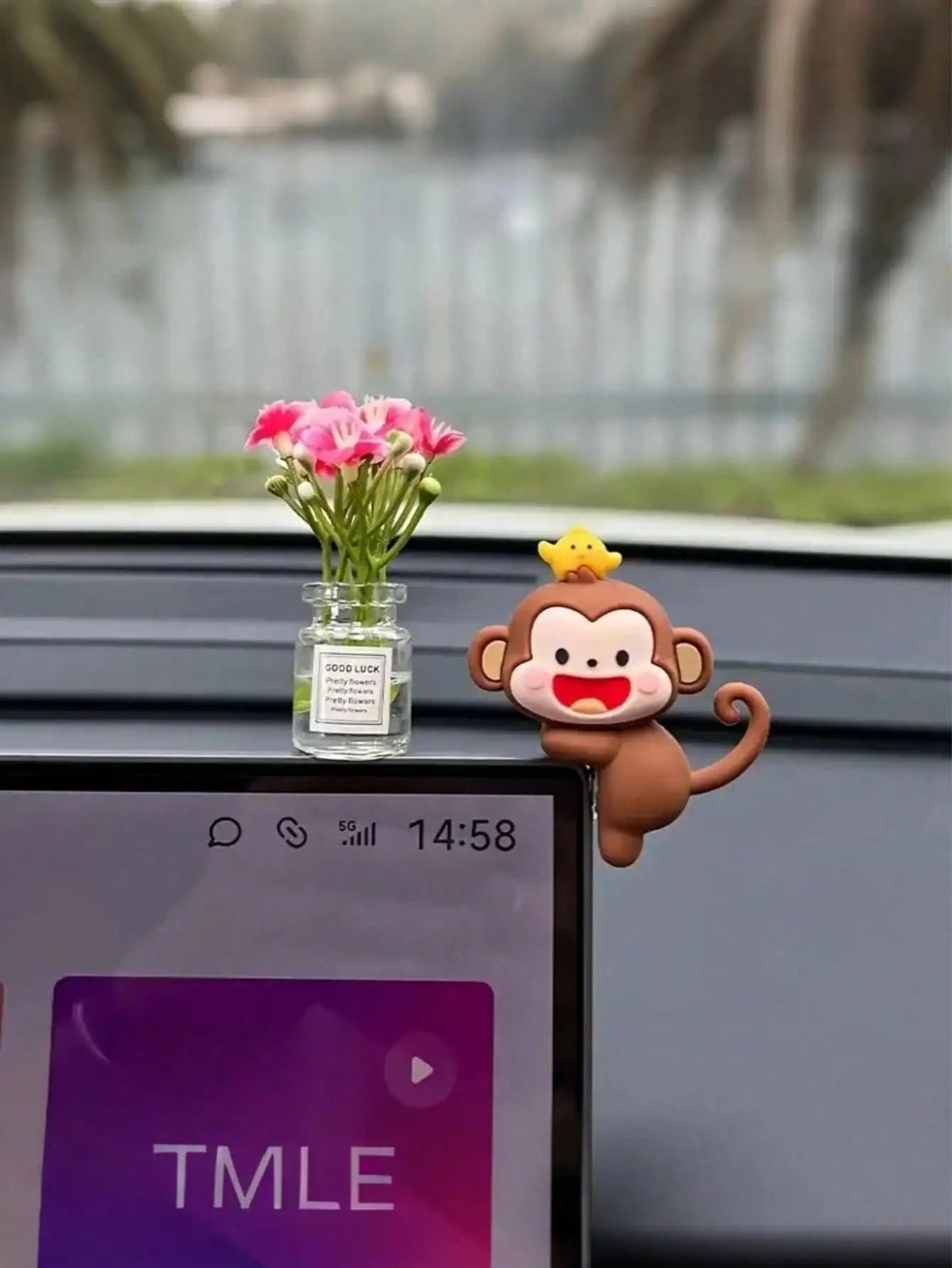 Adorable Monkey  Chick 3D Interior Decor Ornament 5