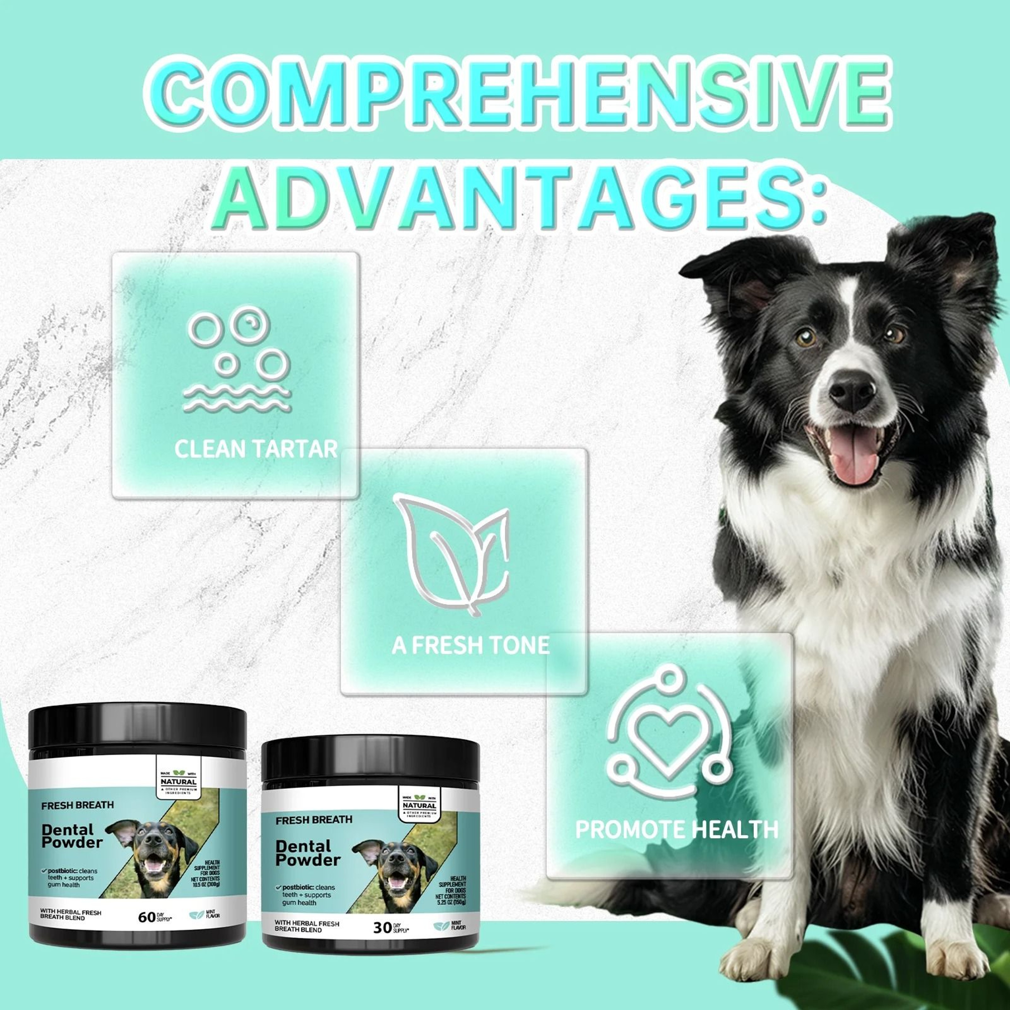Mint Herbal Pet Teeth Powder 1