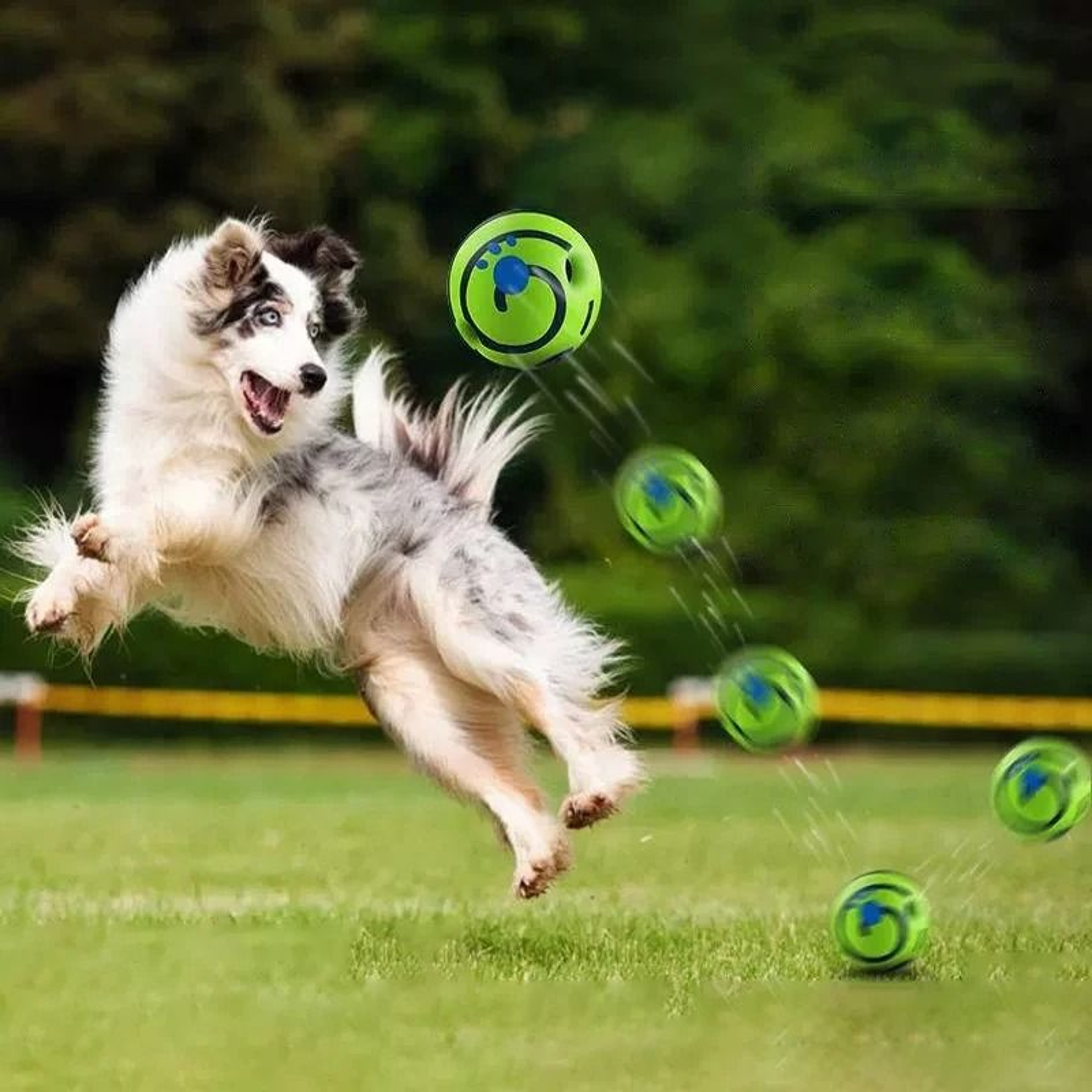 Interactive Wobble Wag Giggle Ball Pet Toy 4