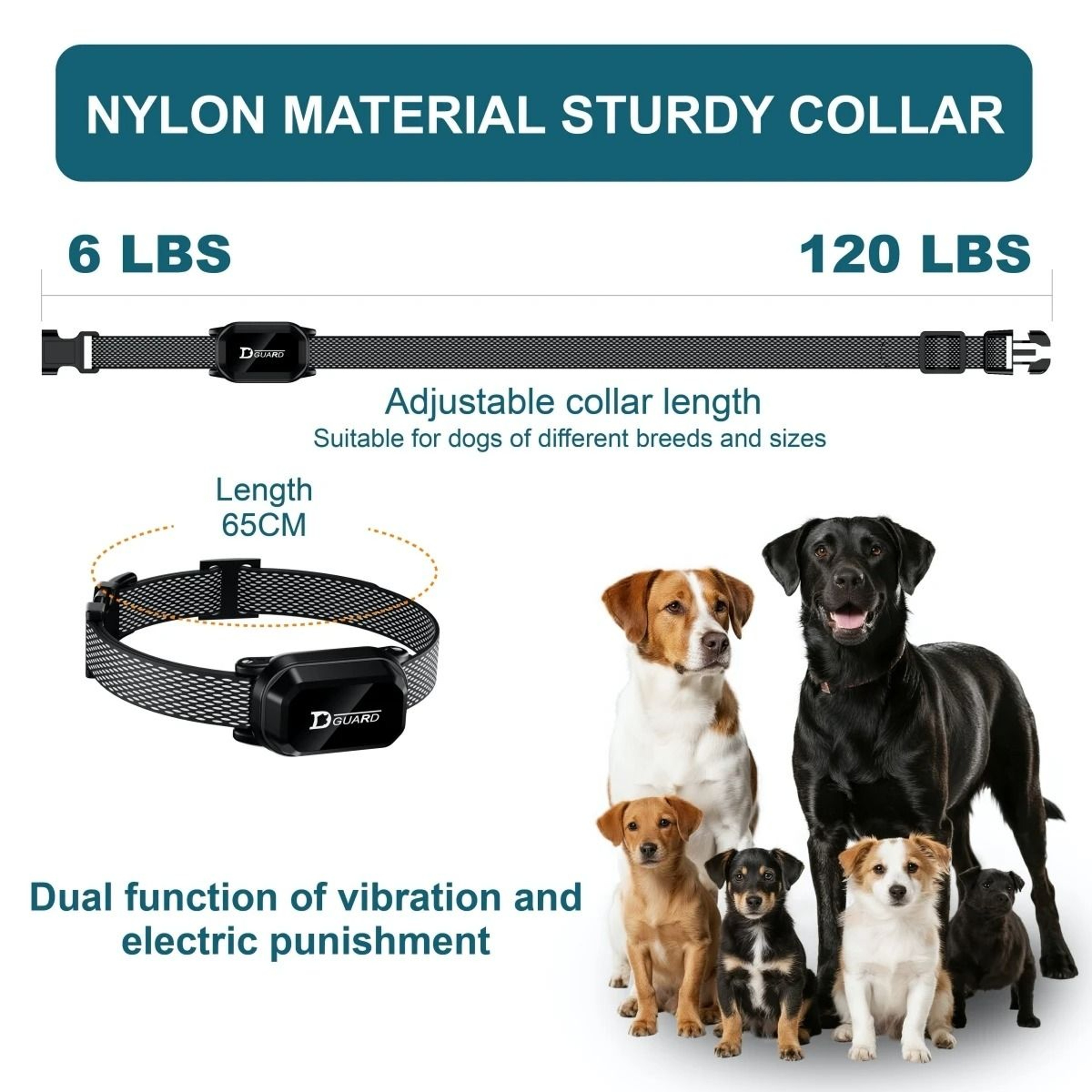 LongRange Waterproof Remote Pet Training System 2