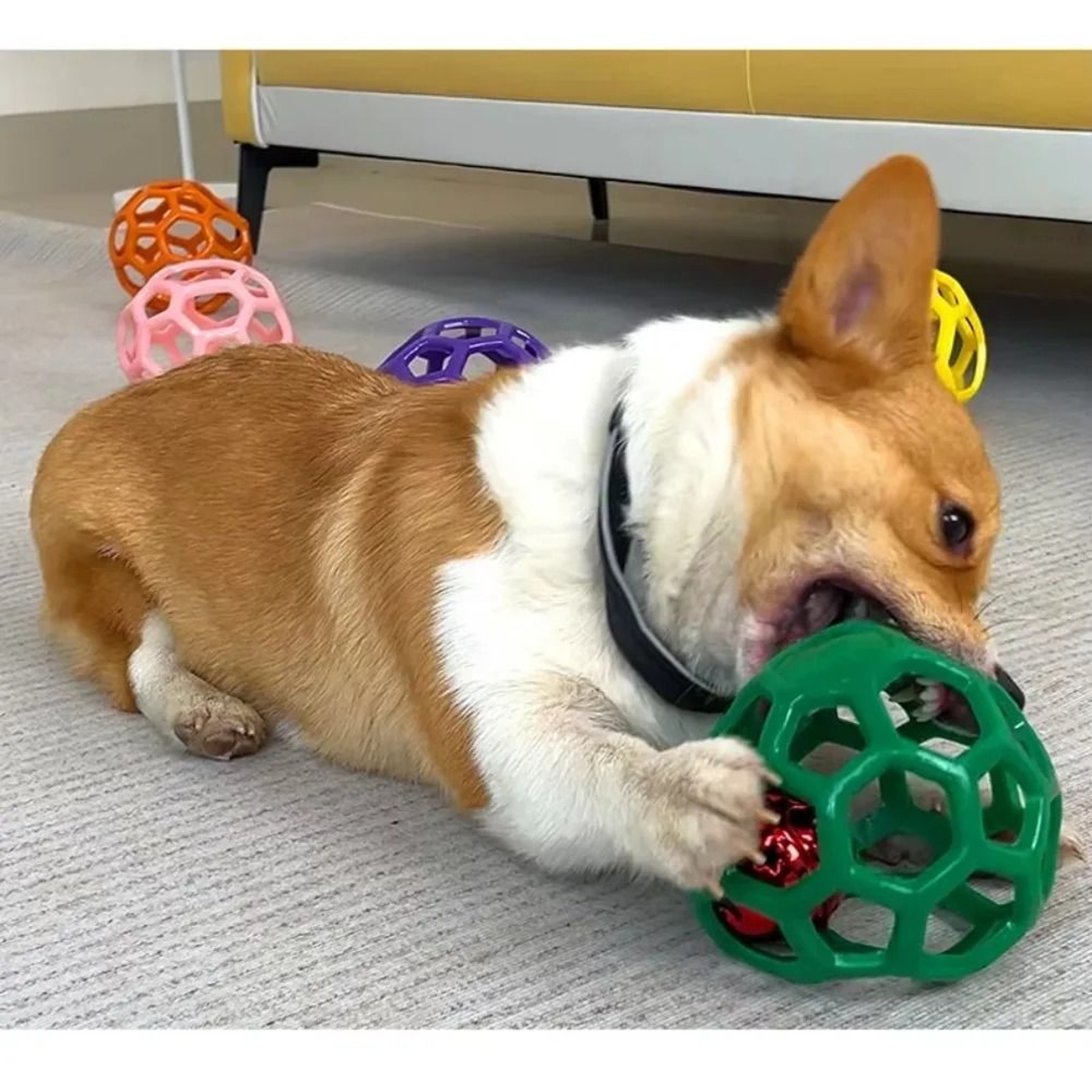 Hollow Rubber Chew Ball With Internal Bell 1