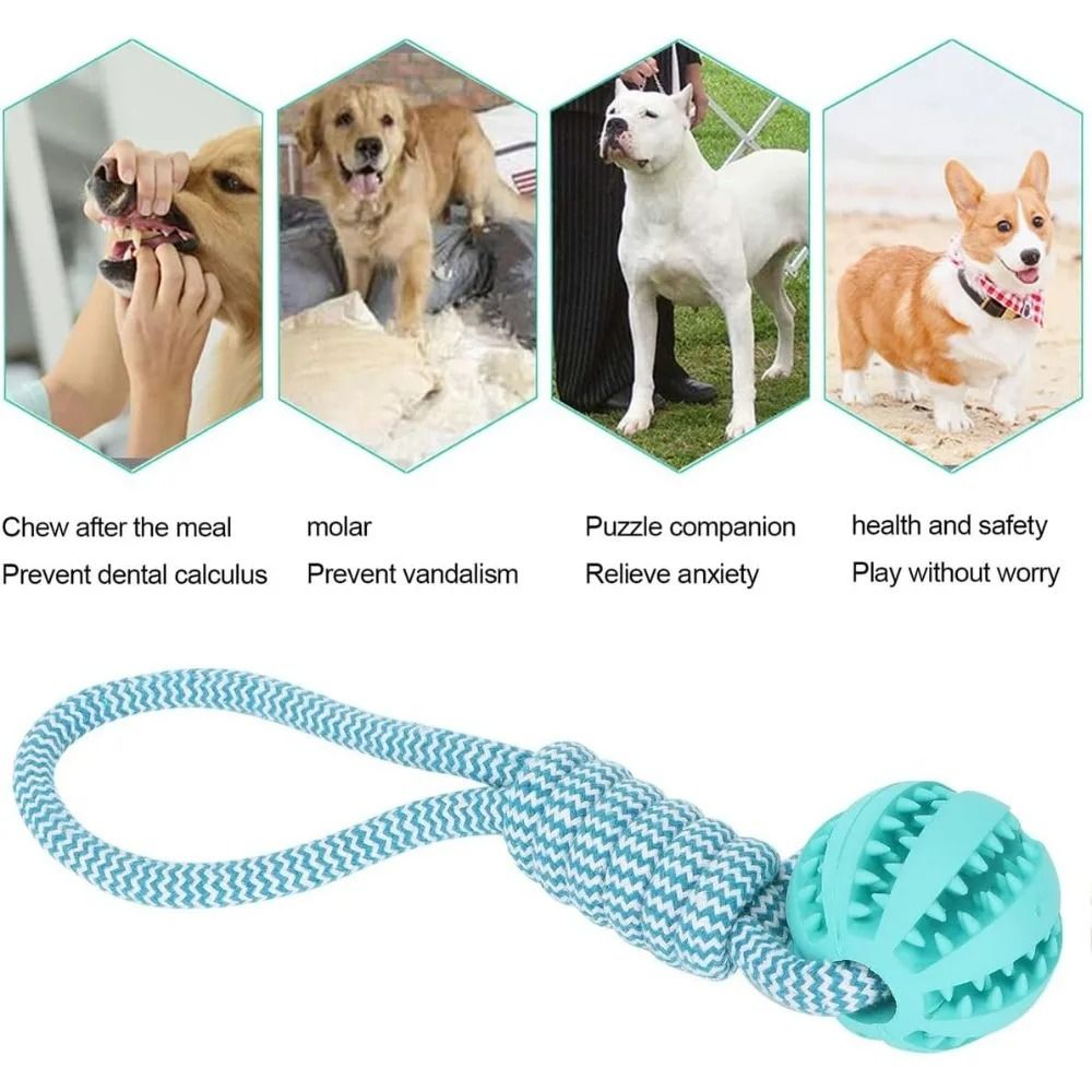 Hollow Rubber Chew Ball With Internal Bell 4