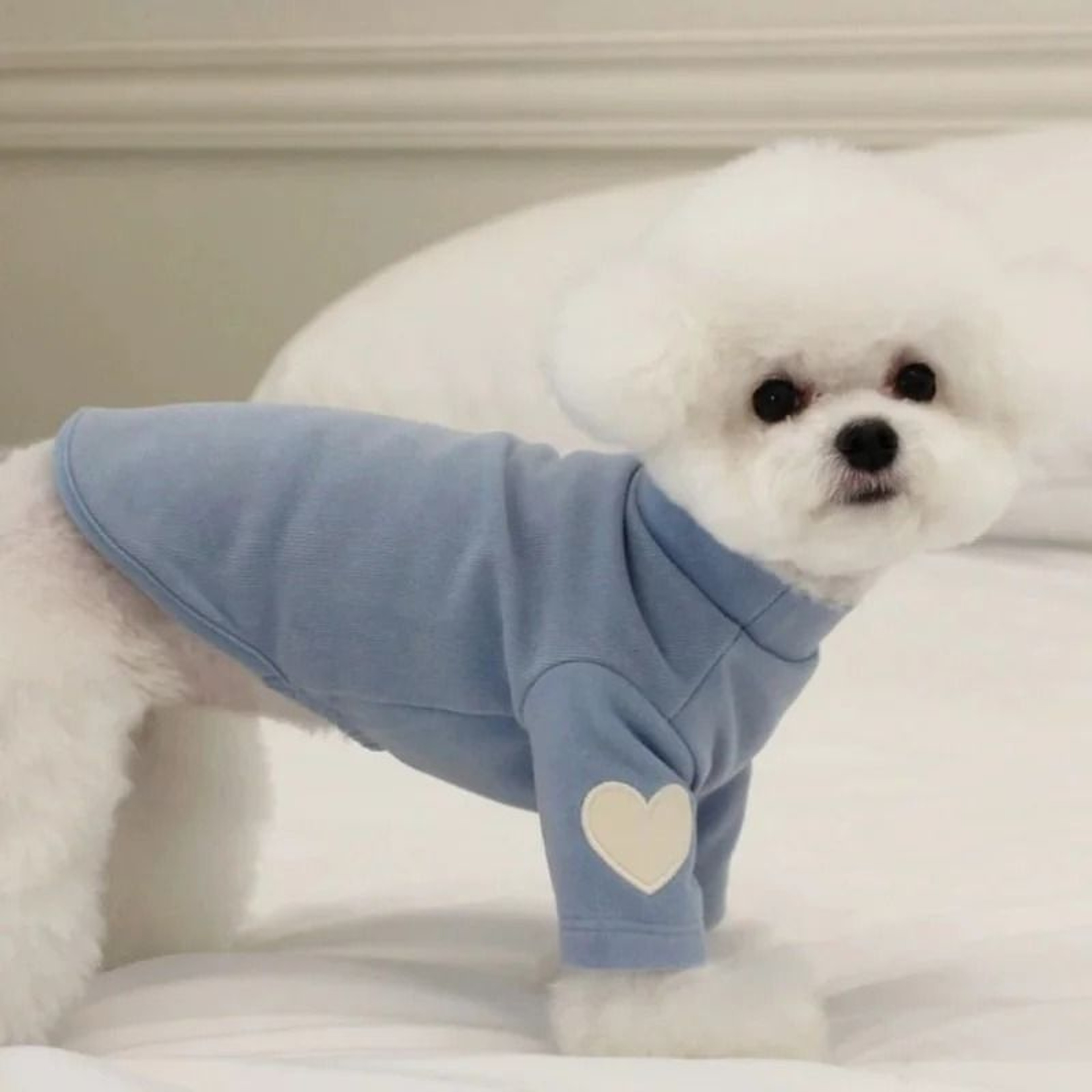 Love Bear Winter Warm Pet Base Shirt 2