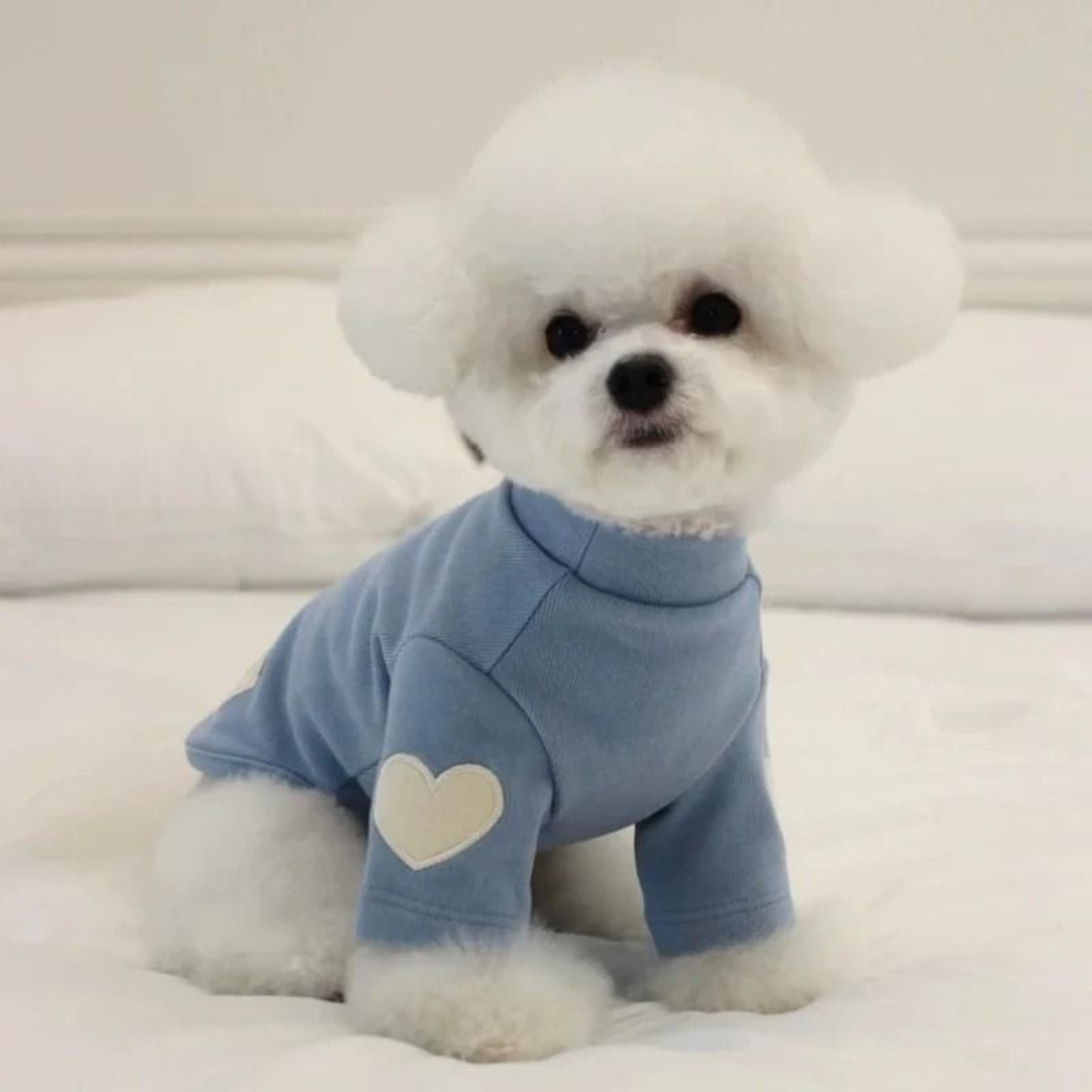 Love Bear Winter Warm Pet Base Shirt 9