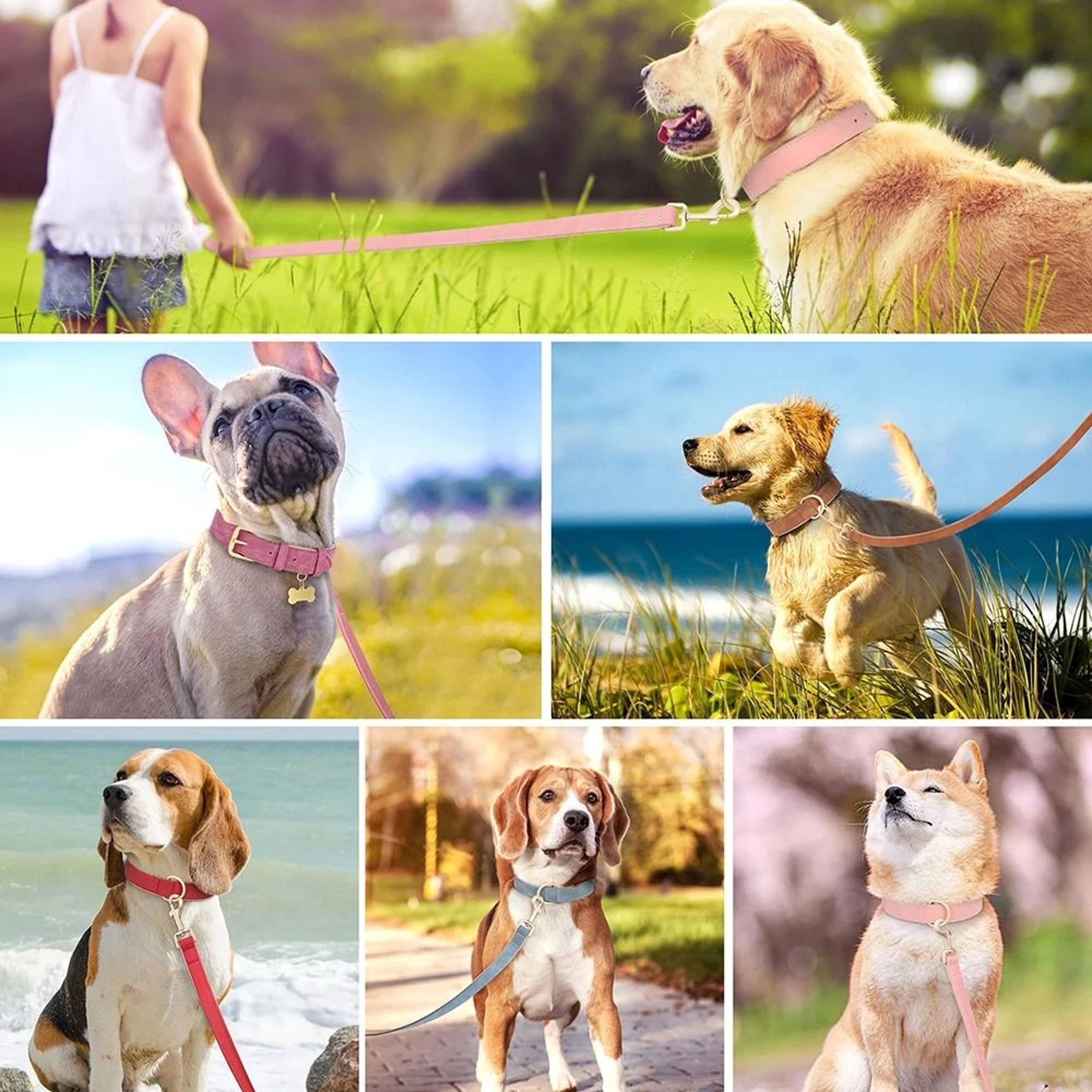 Soft Padded PU Leather Collar  Leash Set 4