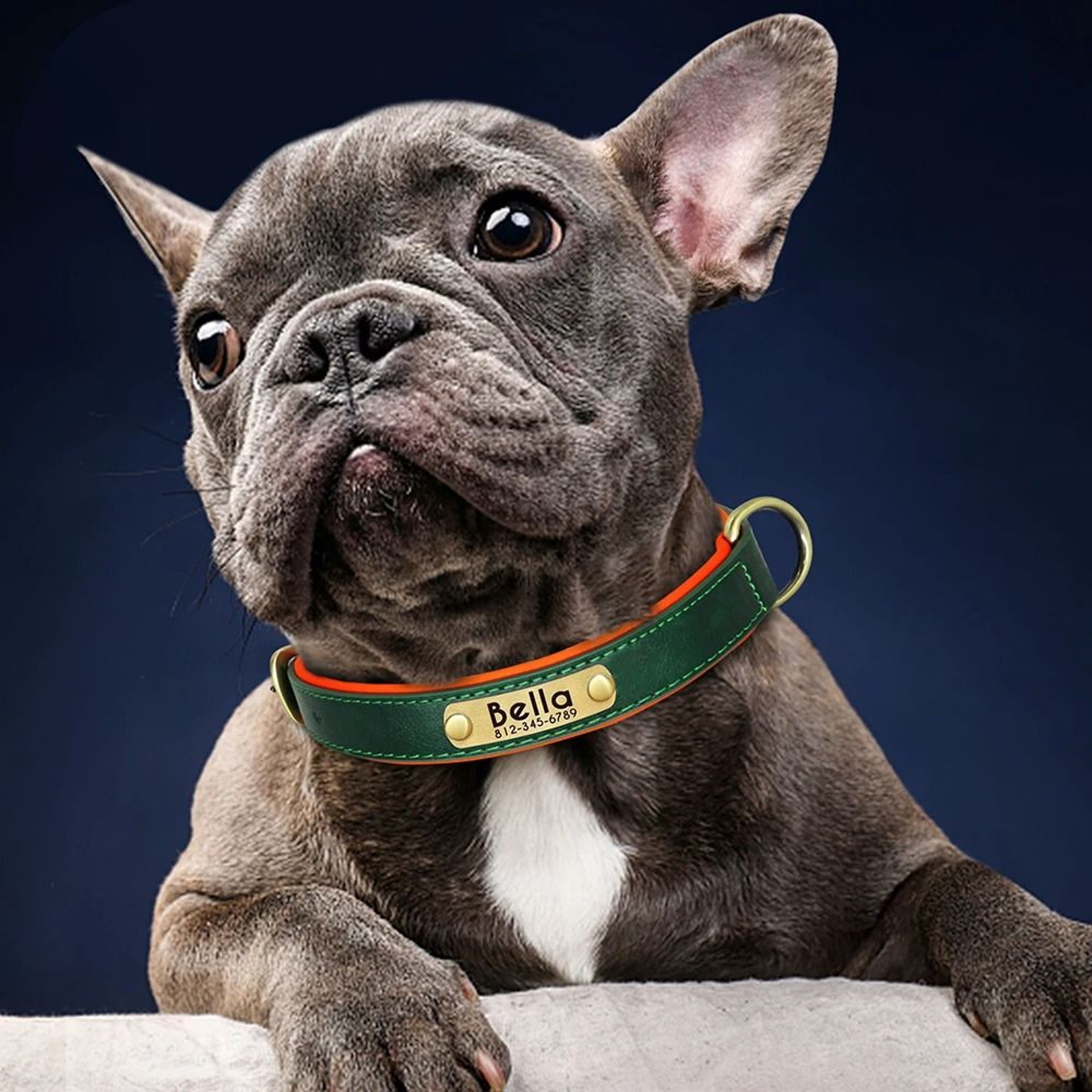 Customized Padded PU Leather Nameplate Collar 1