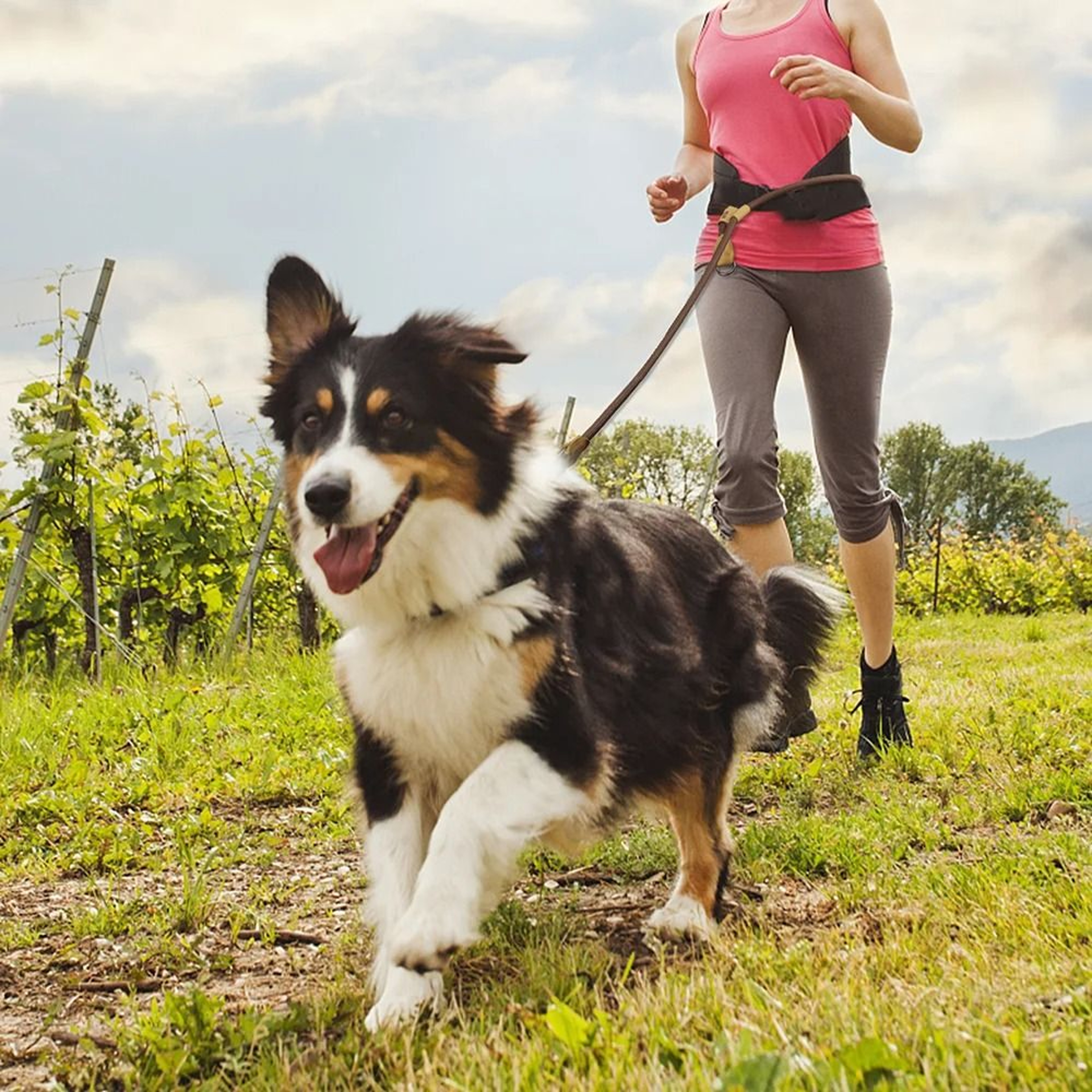 Simplicity Series 18M HandsFree Running Leash 4