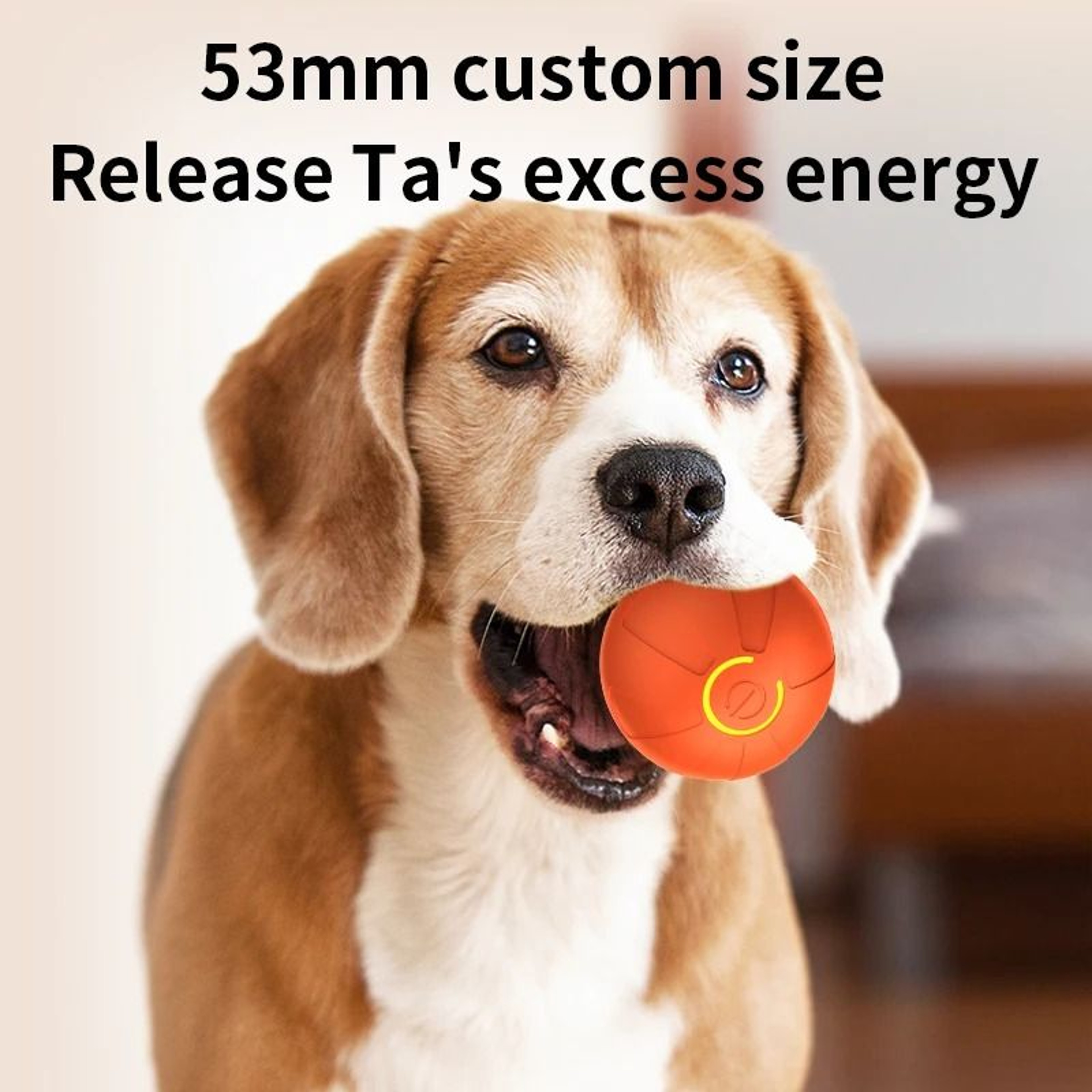 Interactive Smart SelfRolling Pet Ball 4