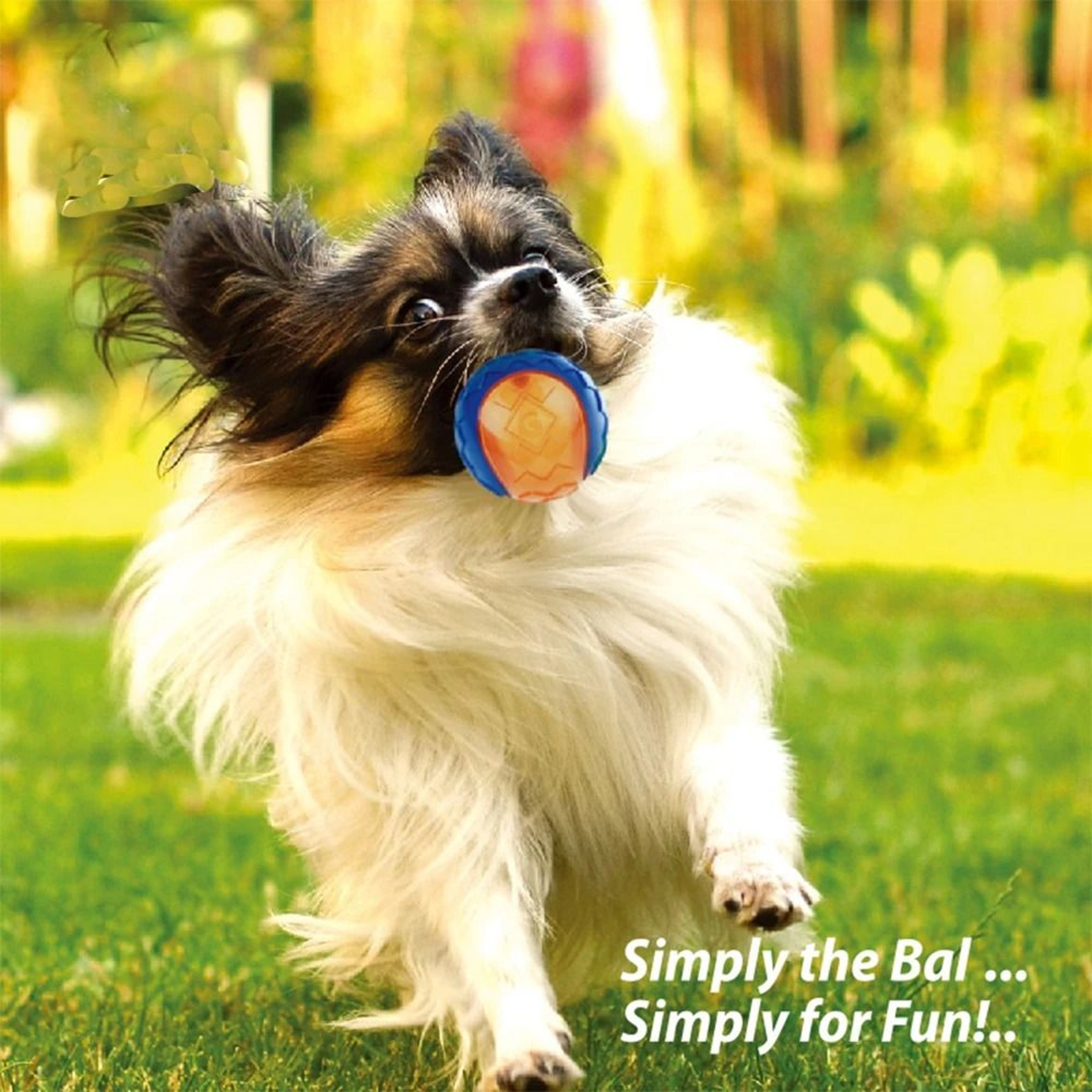 Pure Natural Rubber Squeaky Elasticity Ball 4
