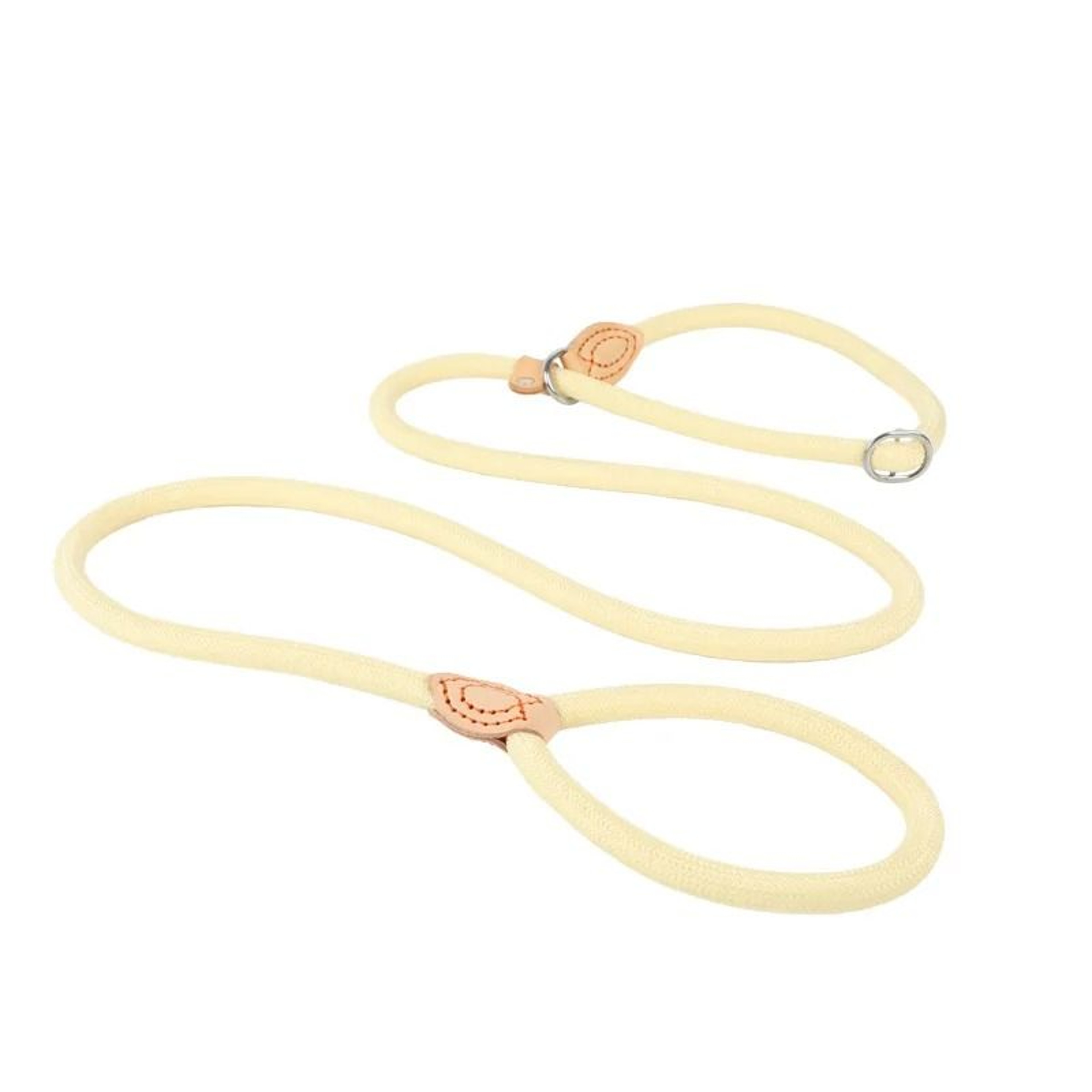 HeavyDuty Braided Rope Slip Lead 10
