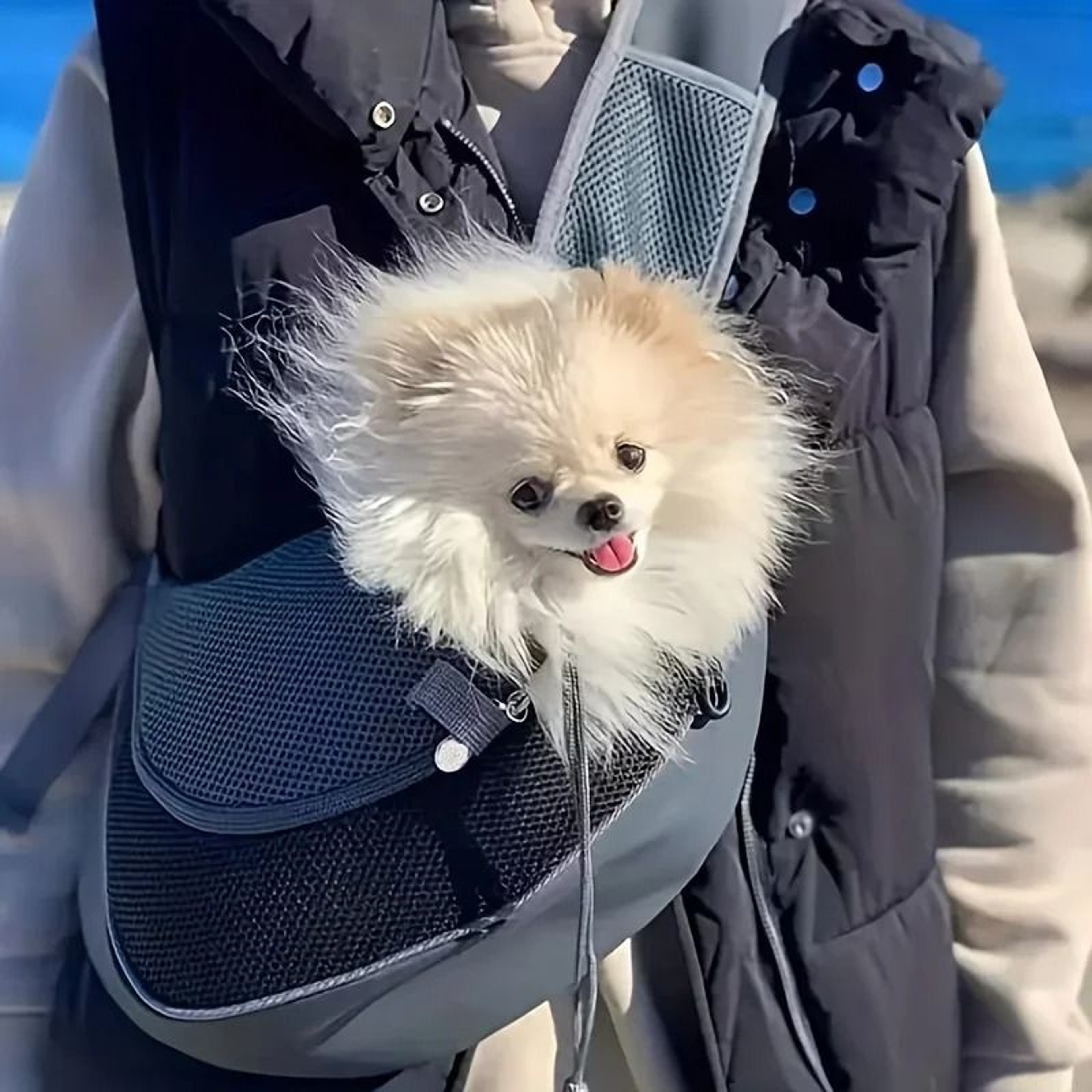 Breathable Mesh Pet Travel Sling Carrier 3