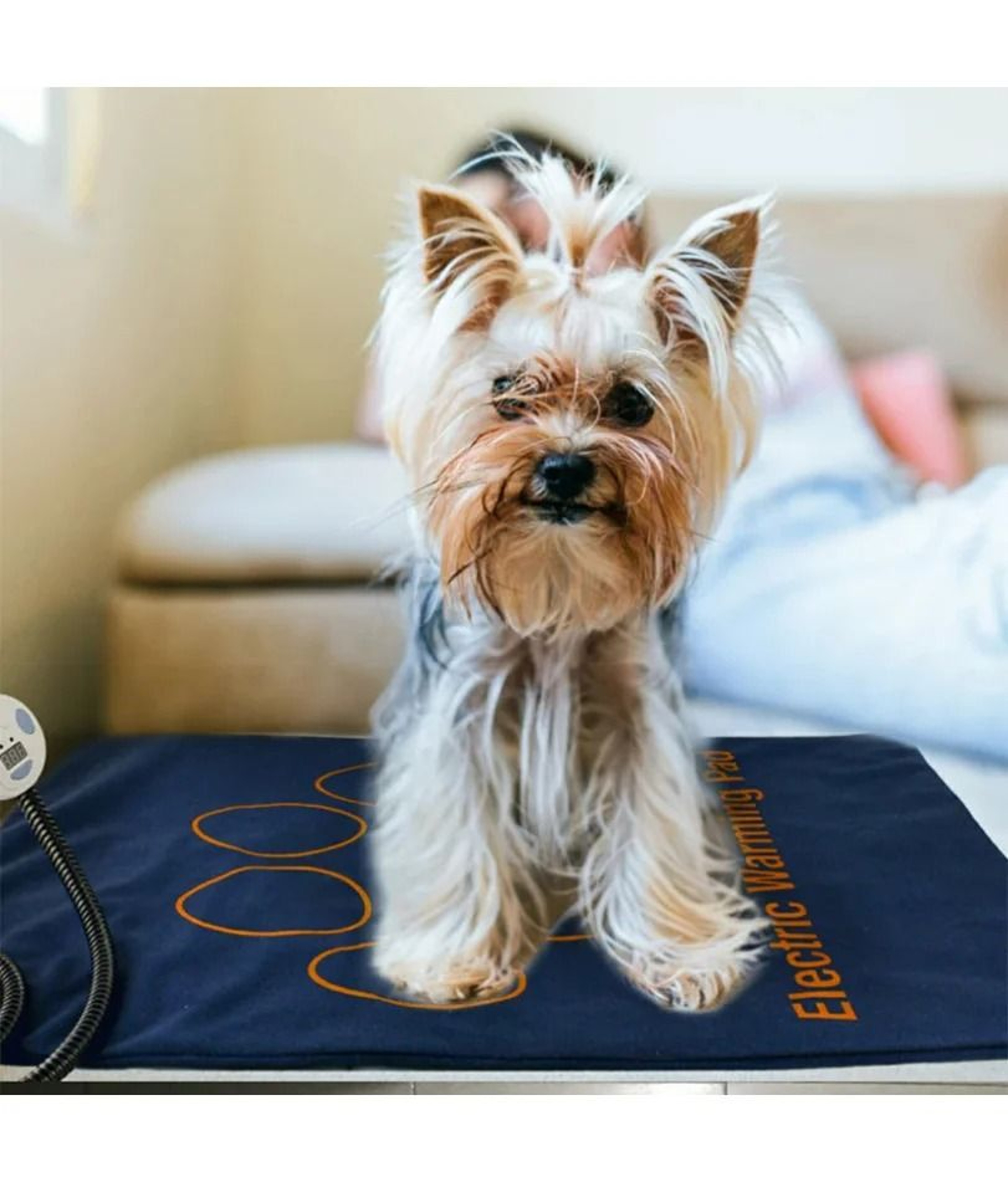 Adjustable Temperature Pet Electric Heating Pad 3