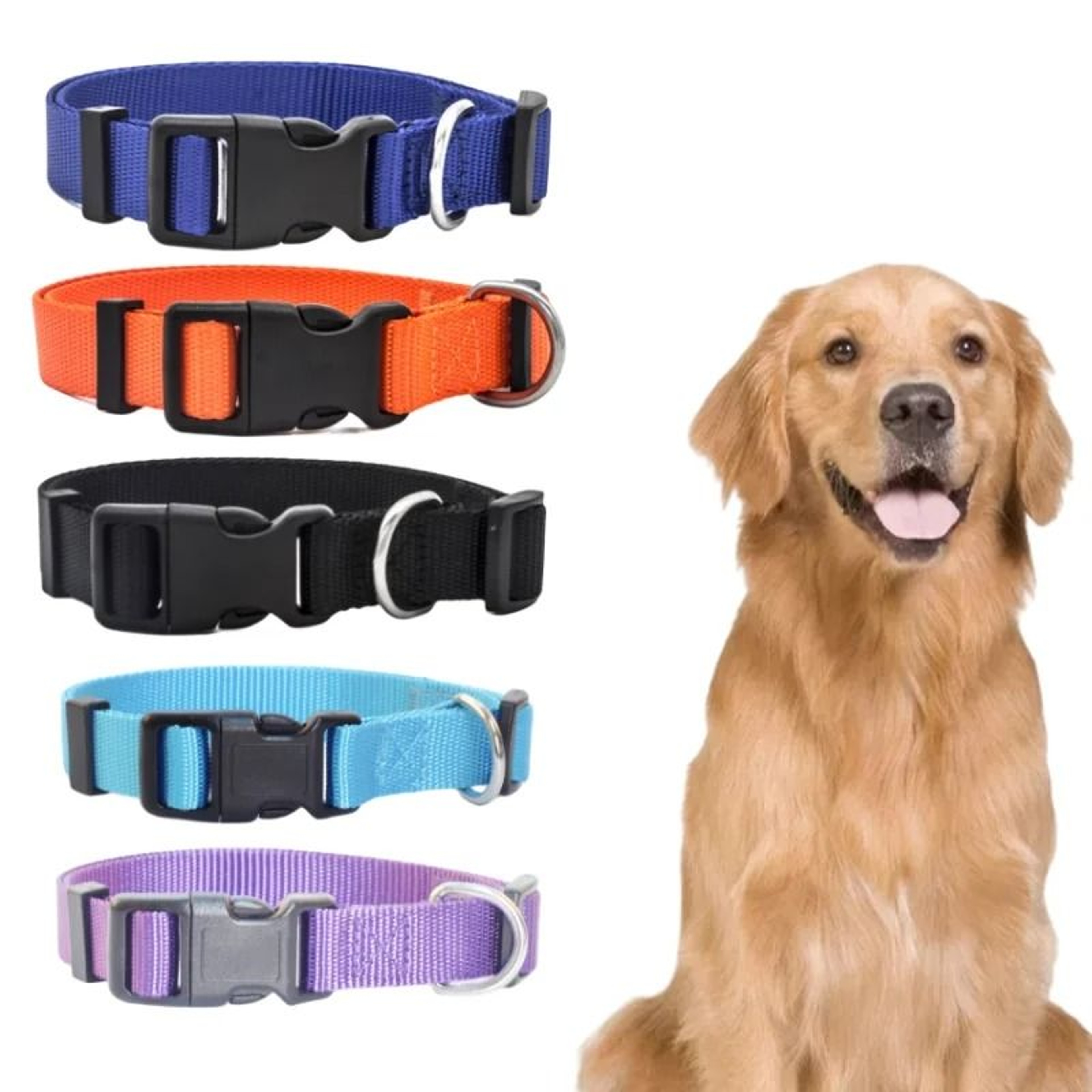 Classic Adjustable Nylon Pet Collar 0