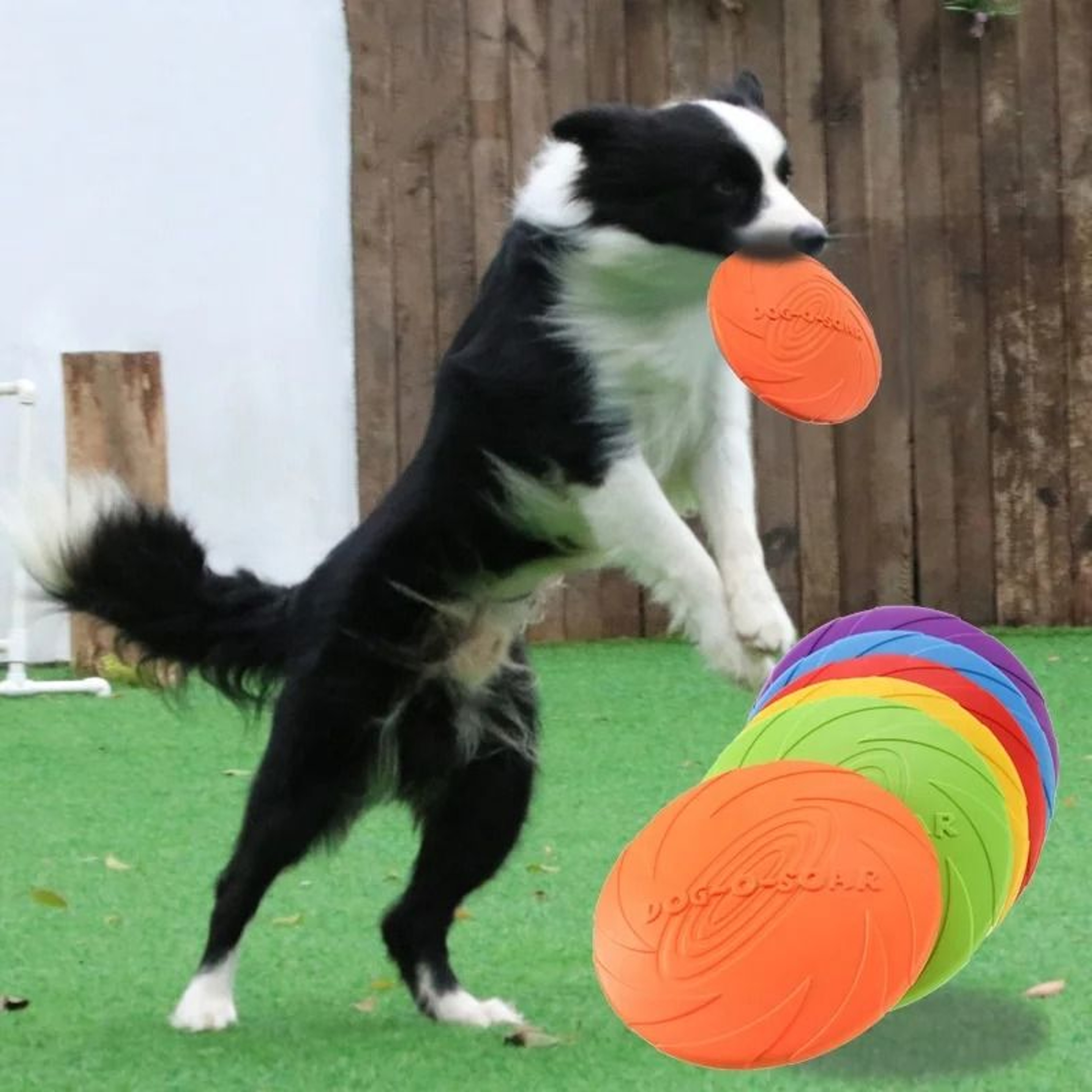 AeroFlex Silicone Interactive Flying Disc 0