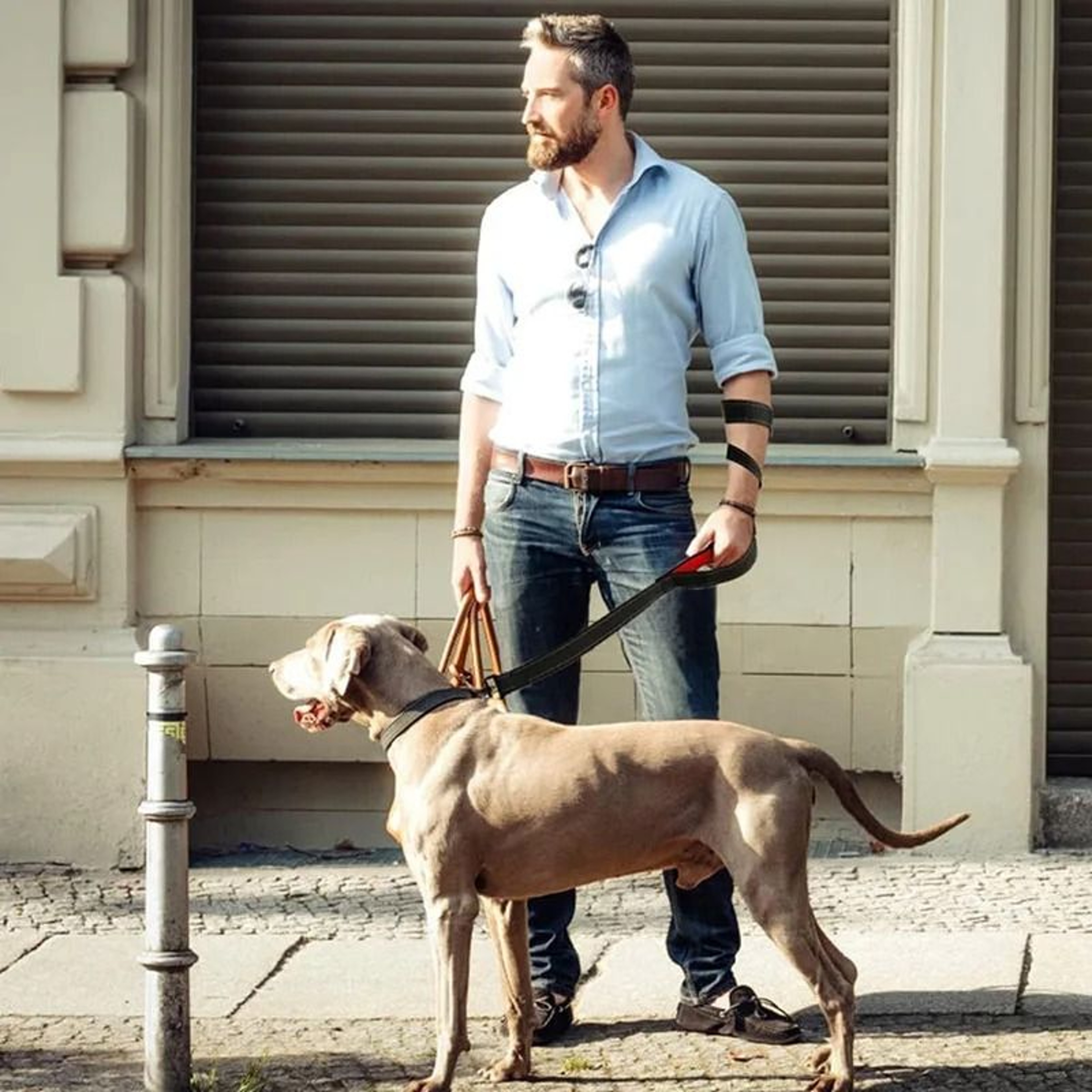 DualControl Heavy Duty ProTrainer Leash 2