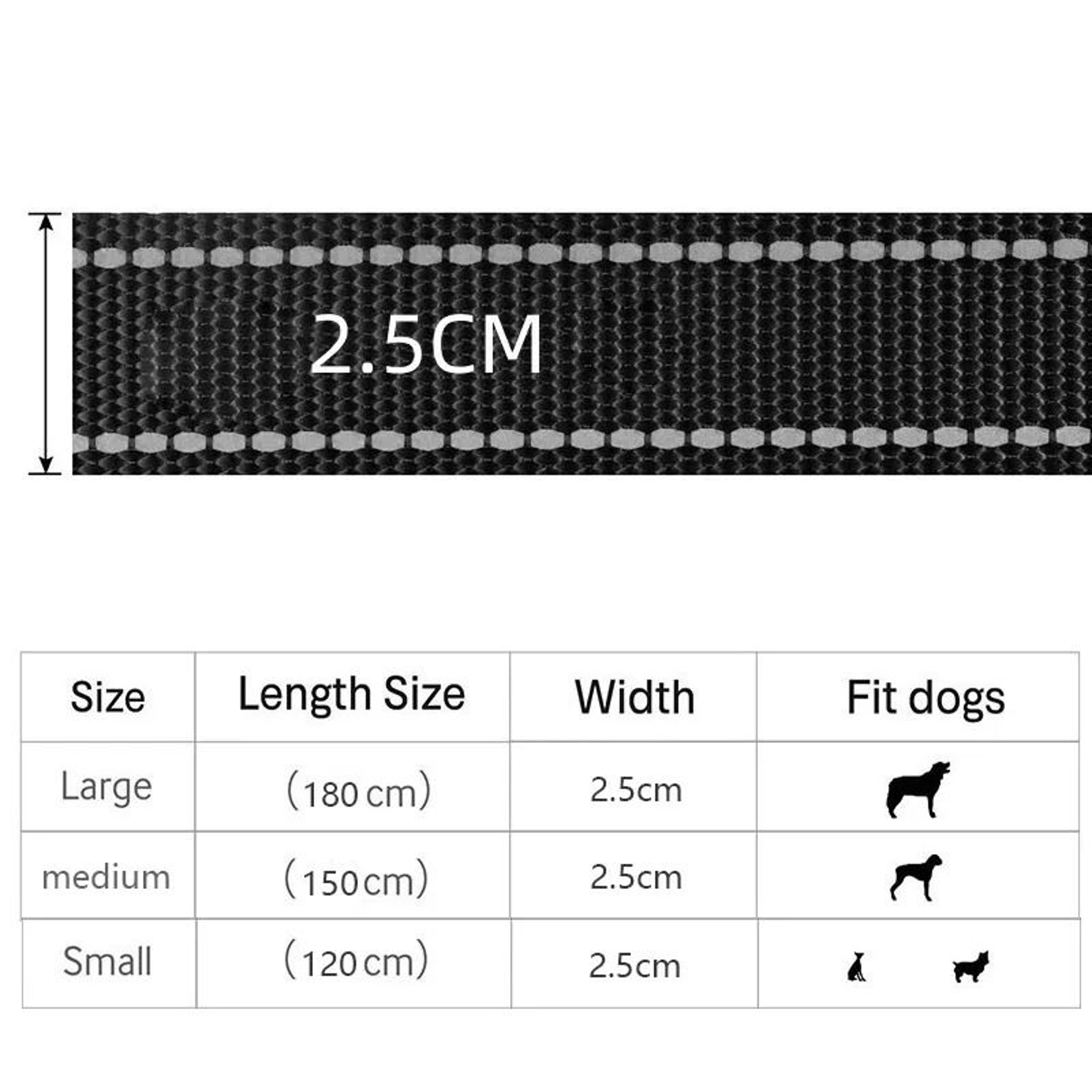 DualControl Heavy Duty ProTrainer Leash 5