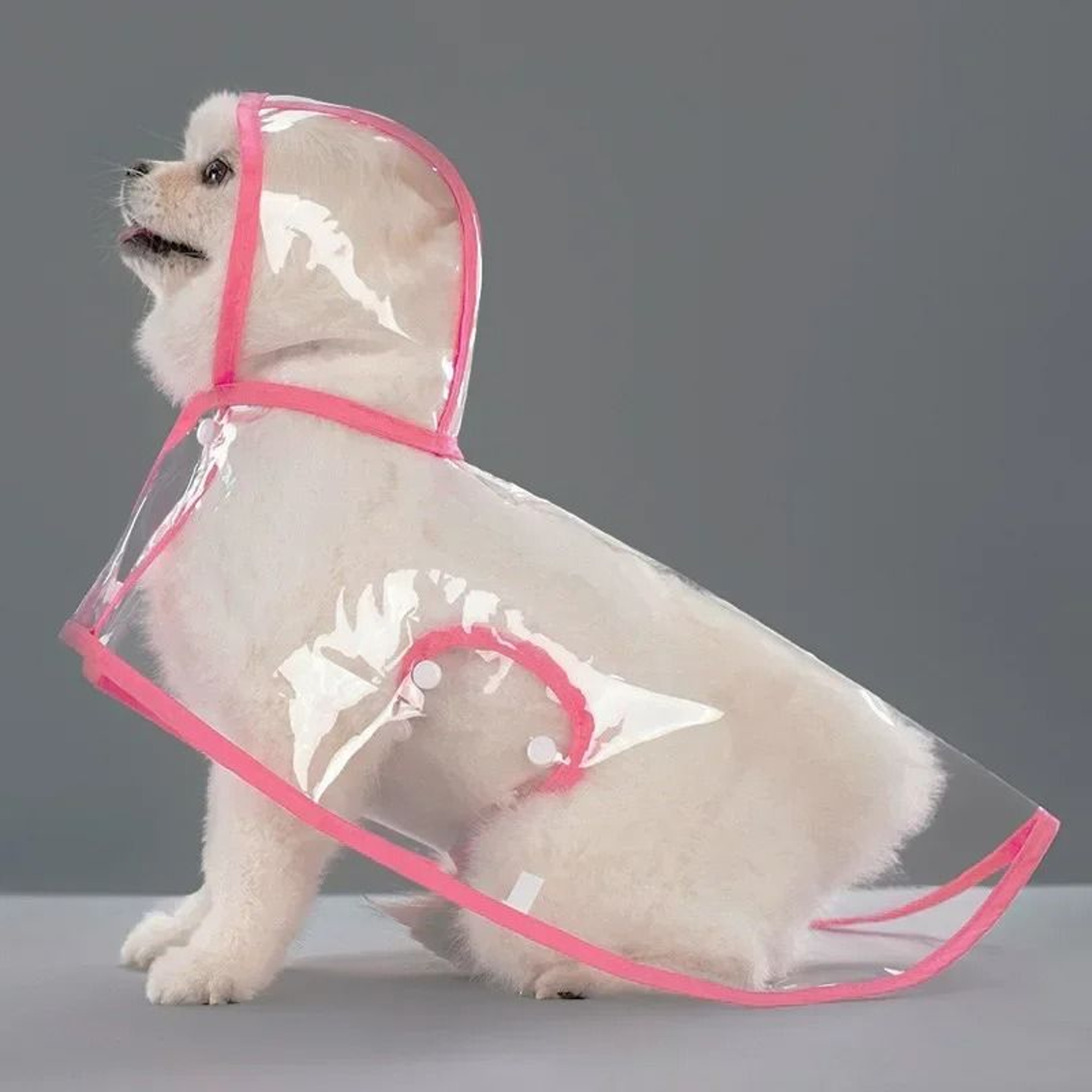 CrystalClear AllWeather Pet Raincoat 8