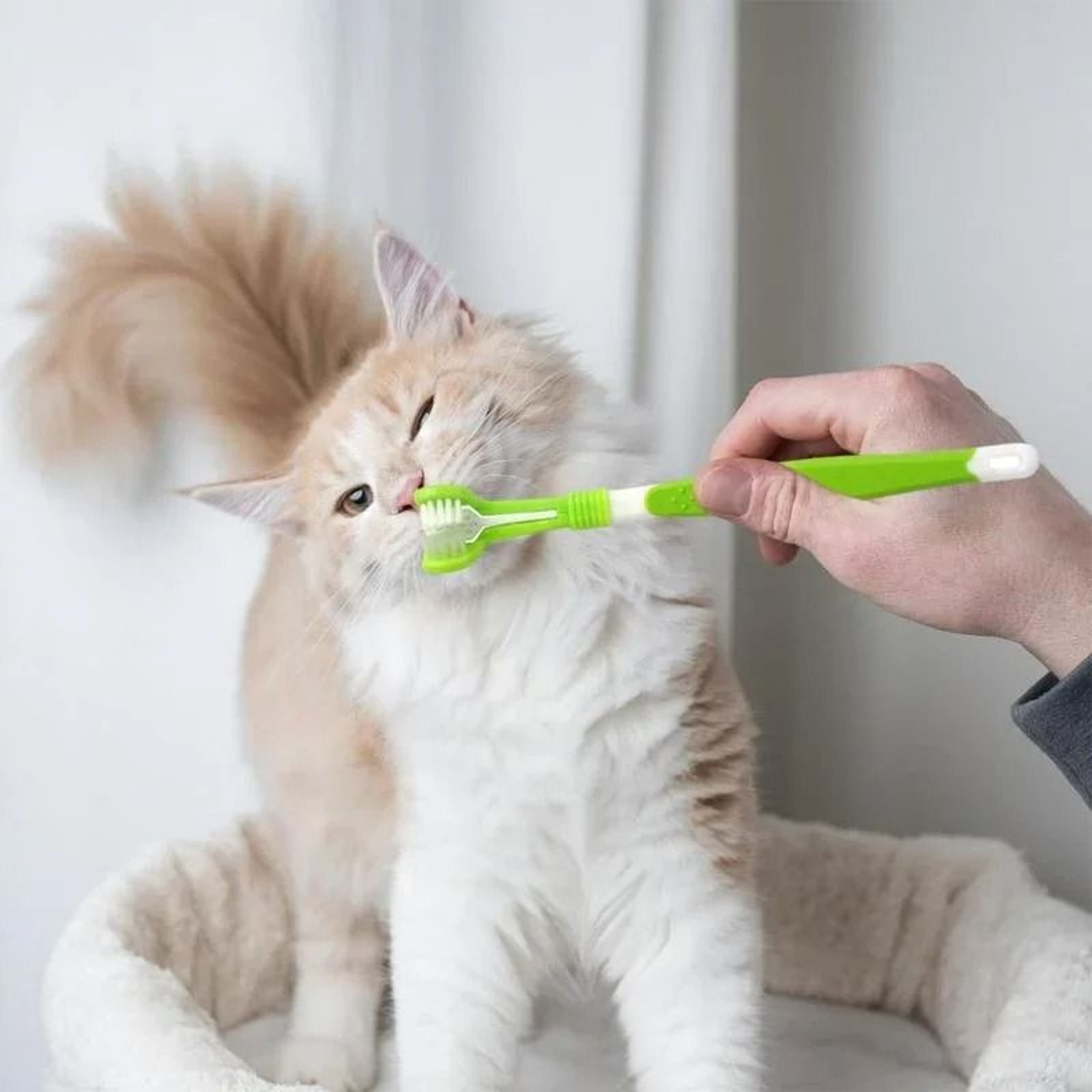 ProClean 3Sided Ergonomic Pet Toothbrush 3