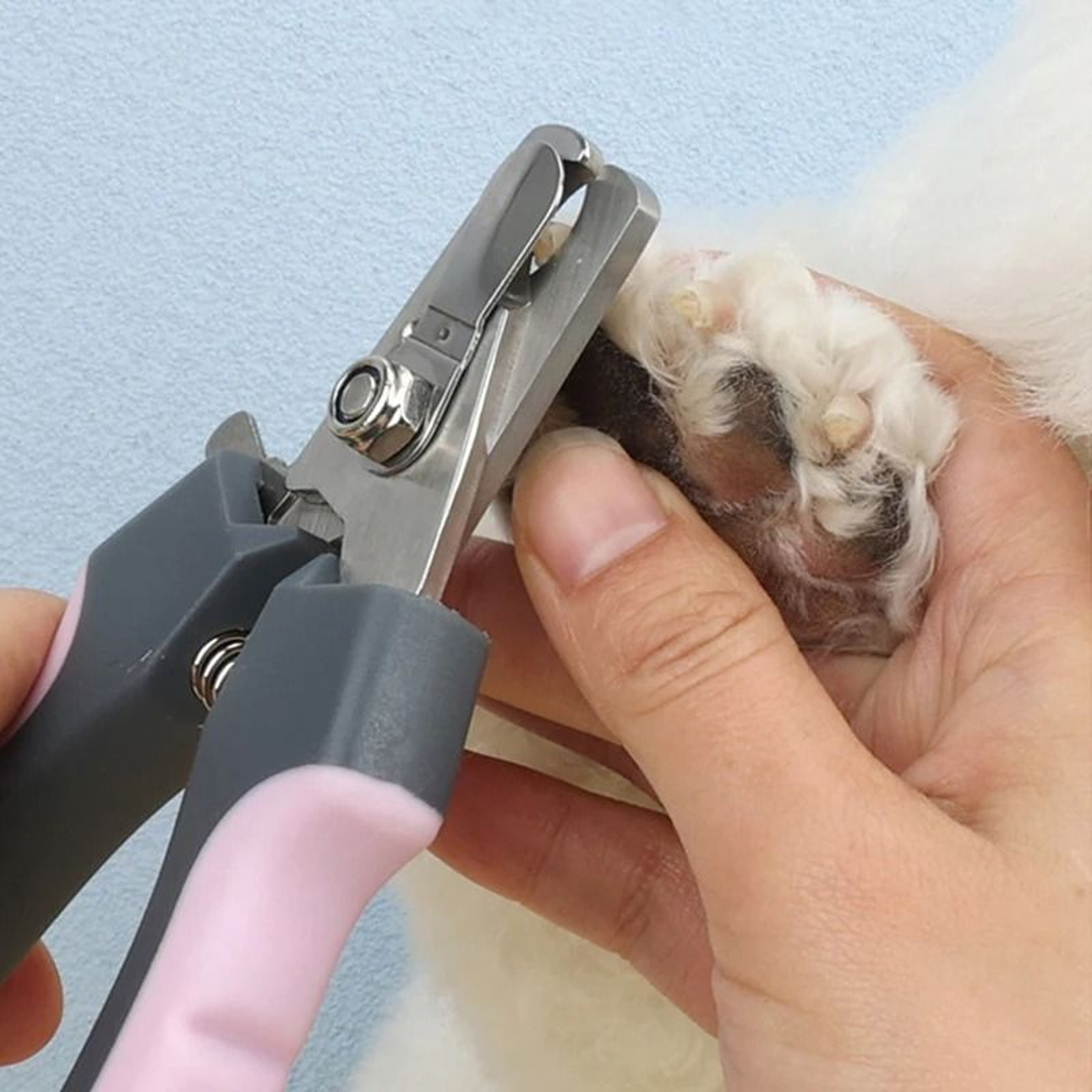 ProPrecision Safety Pet Nail Clippers 3