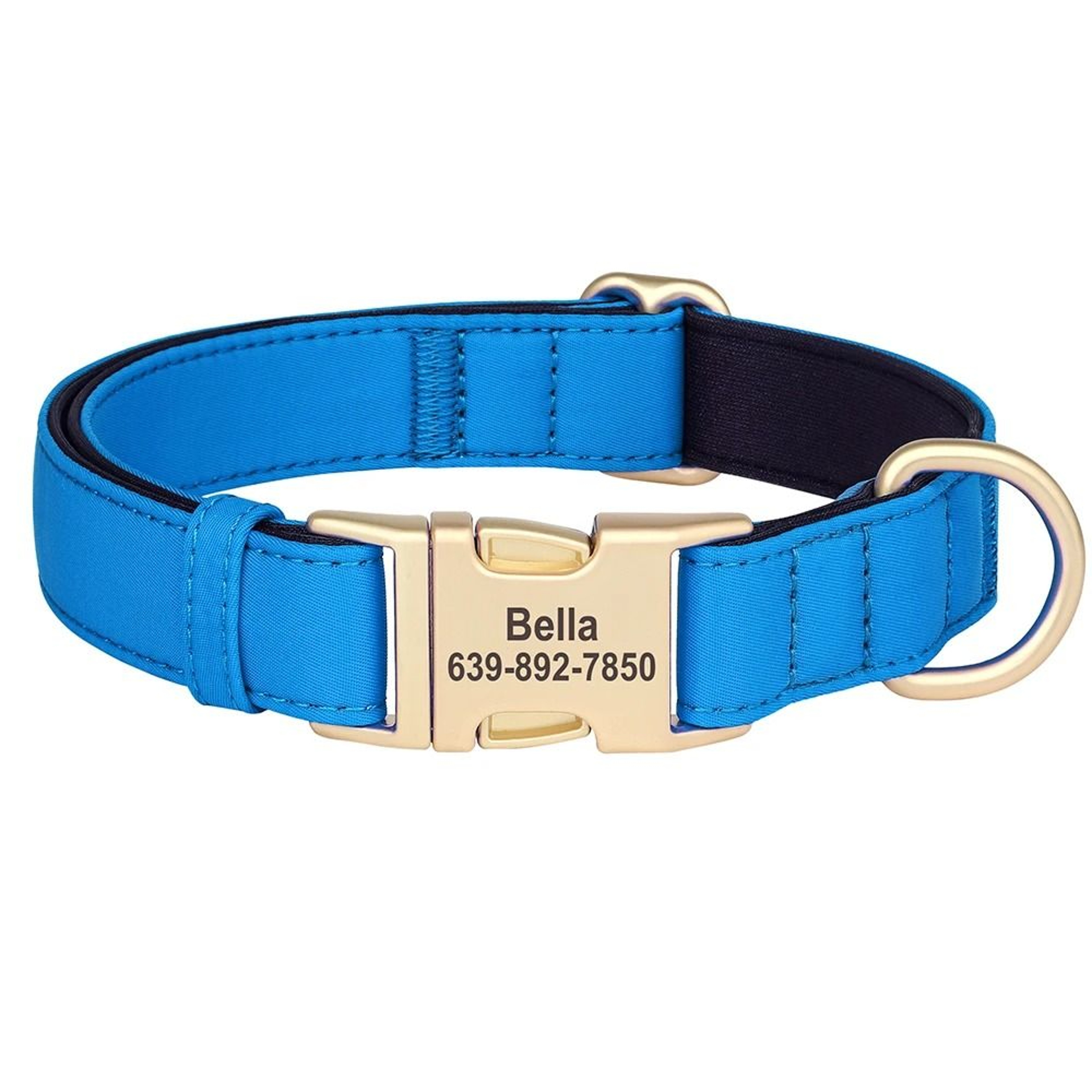 ProTech Personalized Waterproof Dog Collar 9