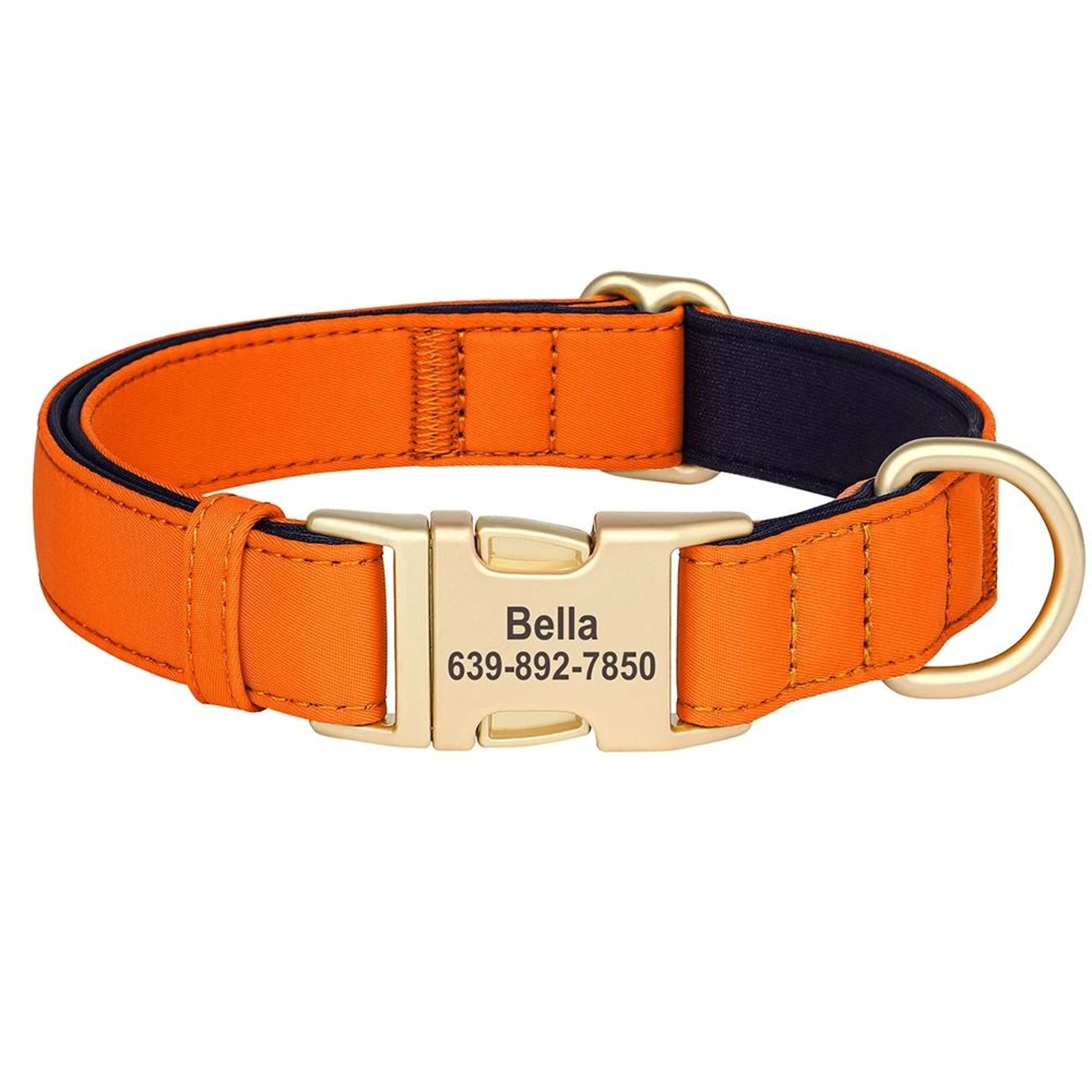 ProTech Personalized Waterproof Dog Collar 6
