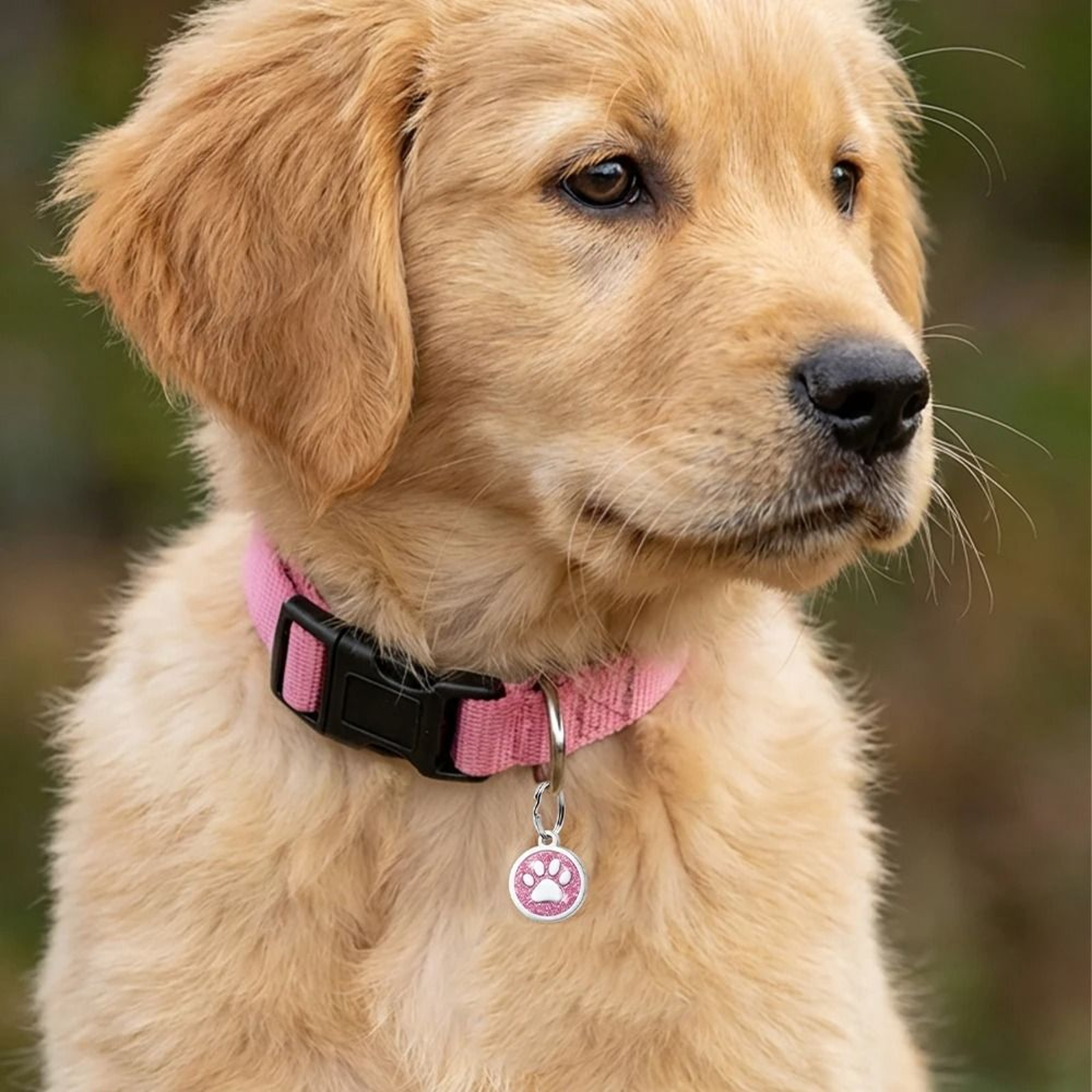 SparkleGuard Personalized Glitter Pet ID Tag 3