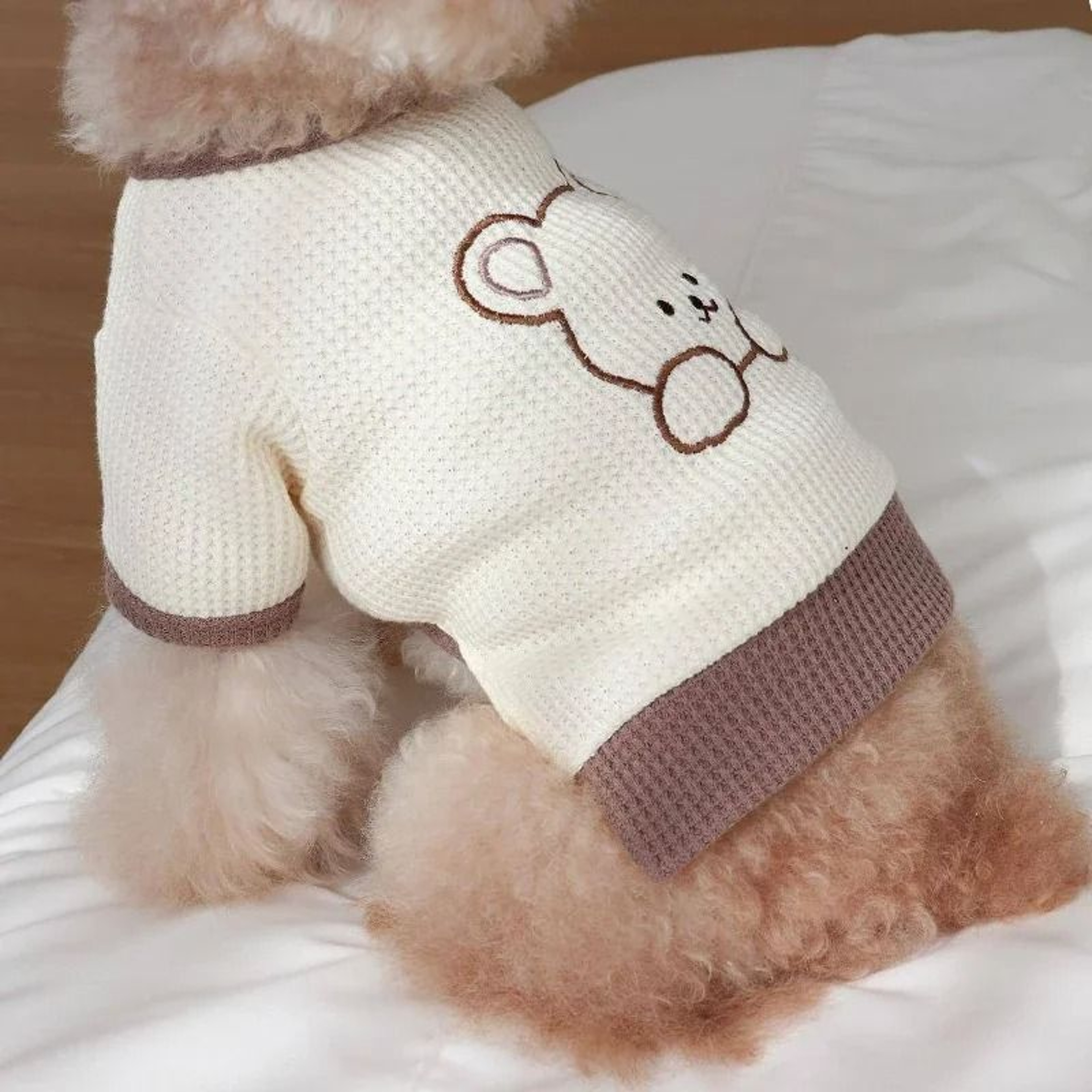 PetCouture Pastel Summer Apparel Series 6
