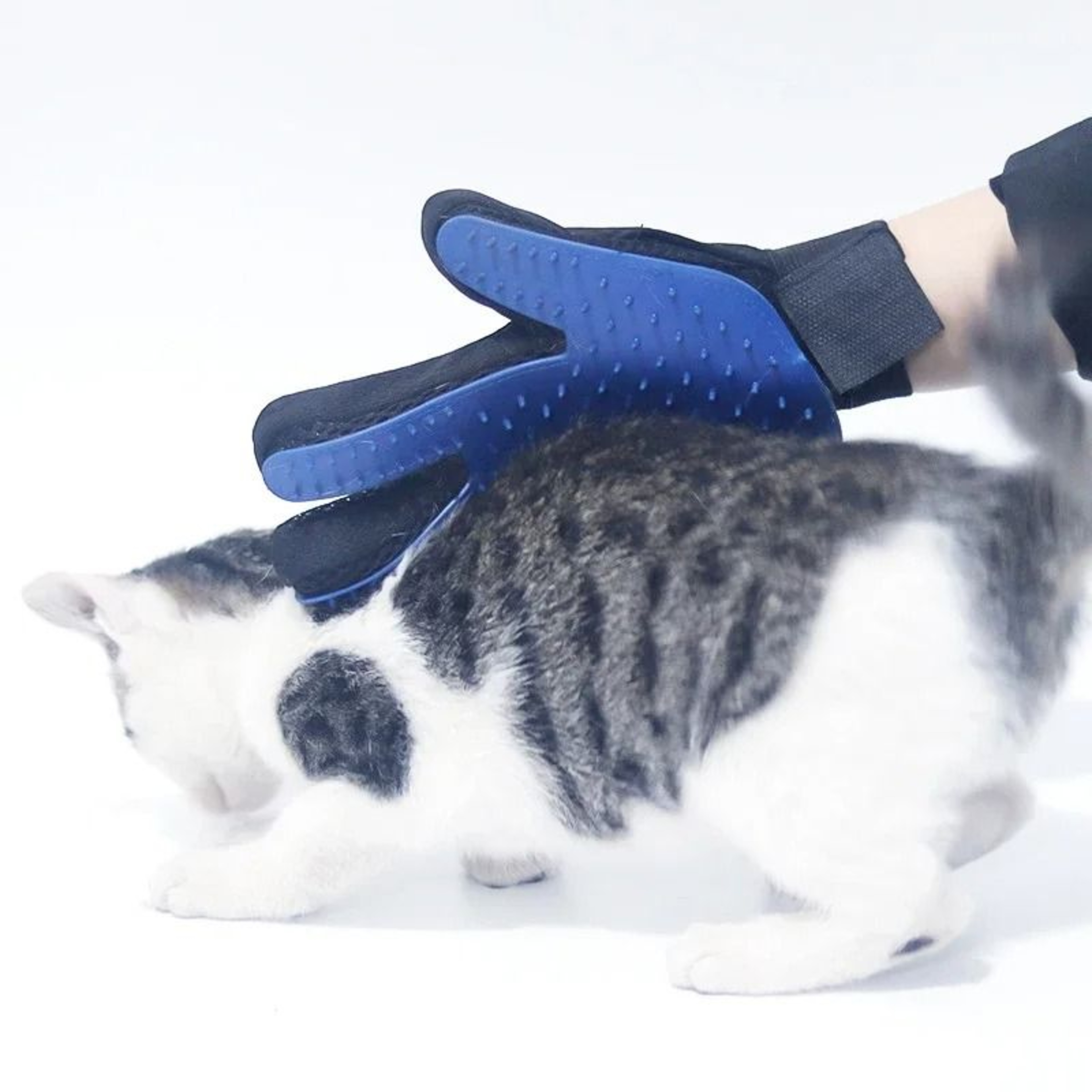 AeroGlove Precision Grooming Mitt 5