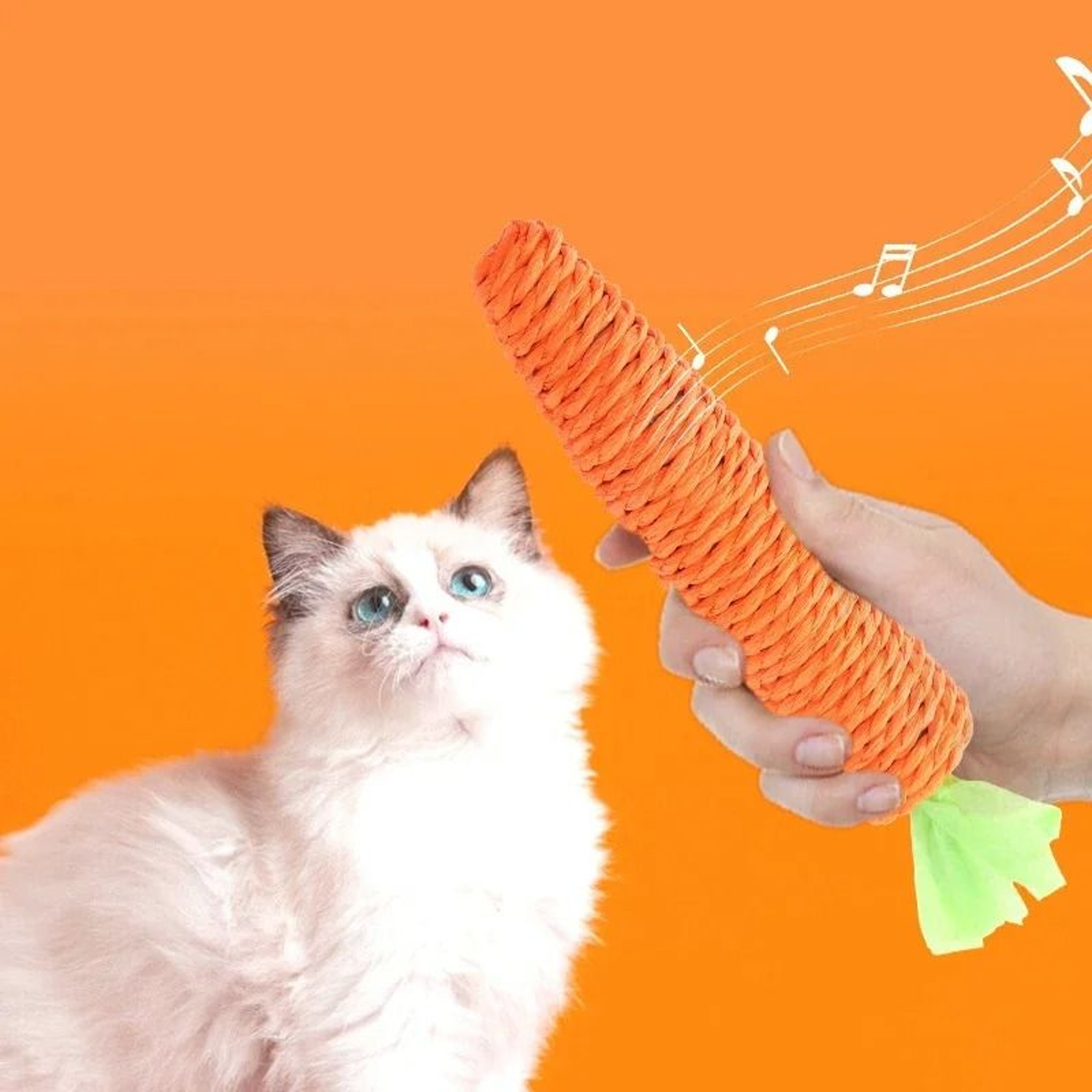 Braided Carrot Dental Chew Set 1
