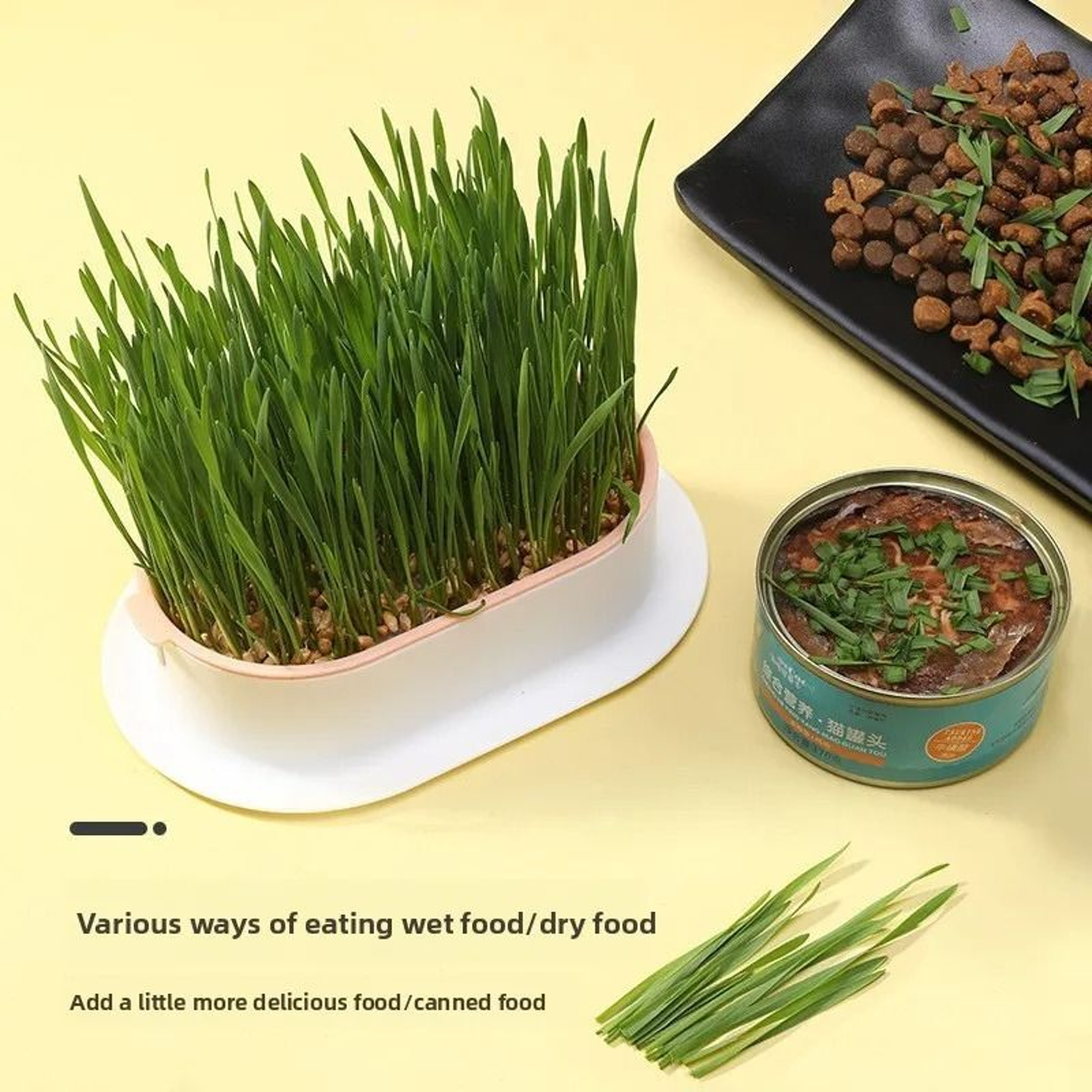 Hydroponic Soilless Cat Grass Planter 2