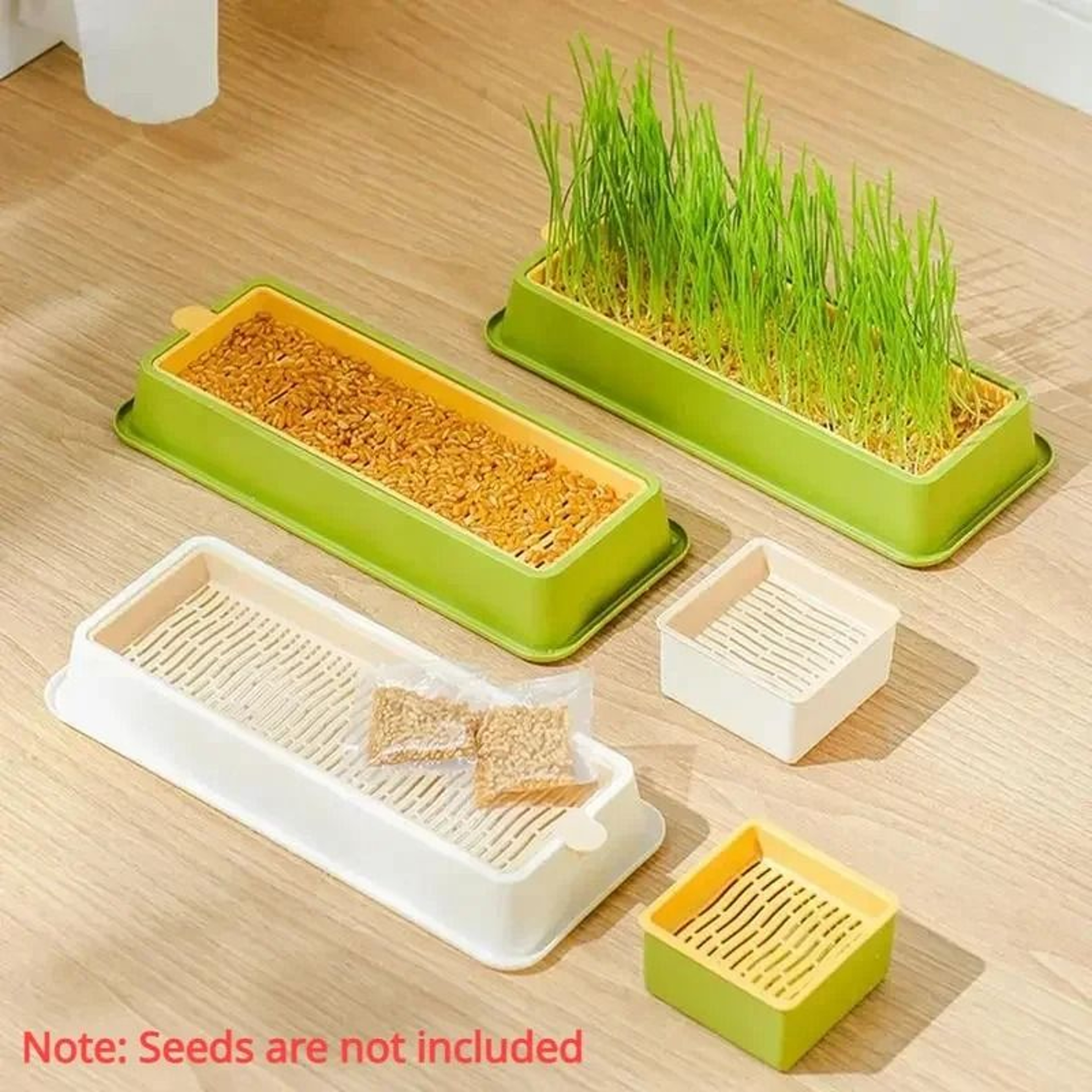 Hydroponic Soilless Cat Grass Germination Kit 0