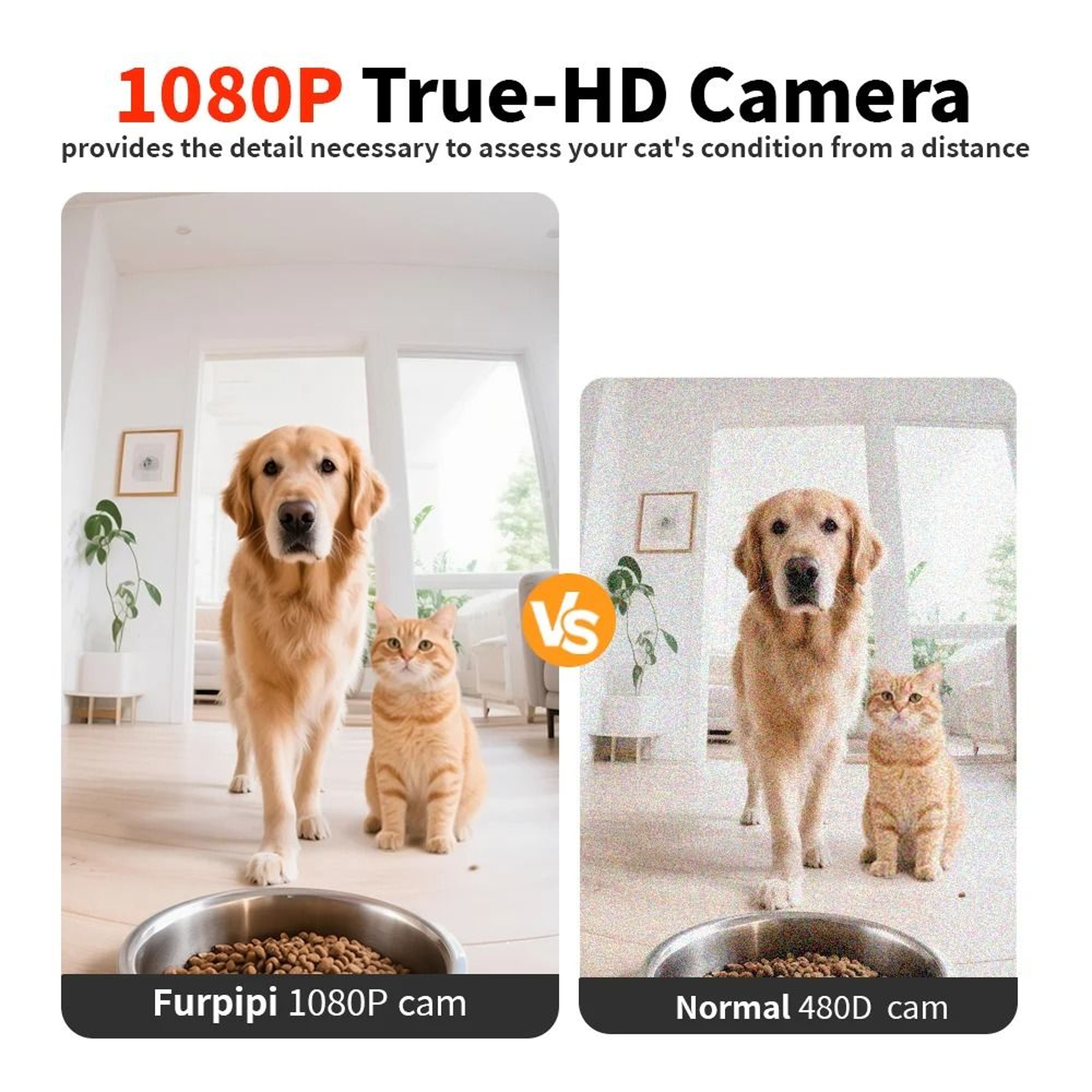 Furpipi 8L Smart Vision Automatic Pet Feeder 2