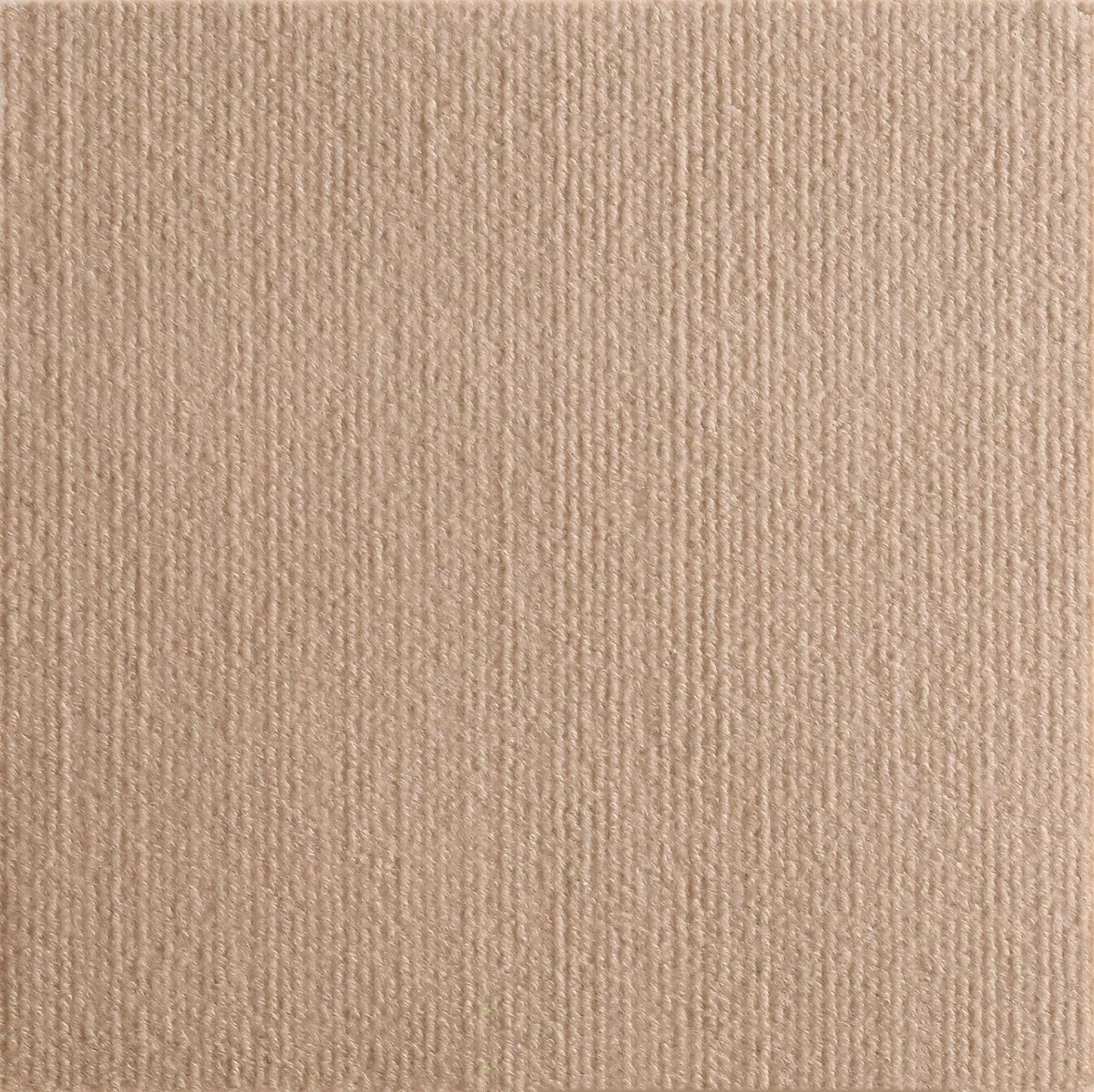 StrucGuard Customizable Adhesive ScratchShield 7