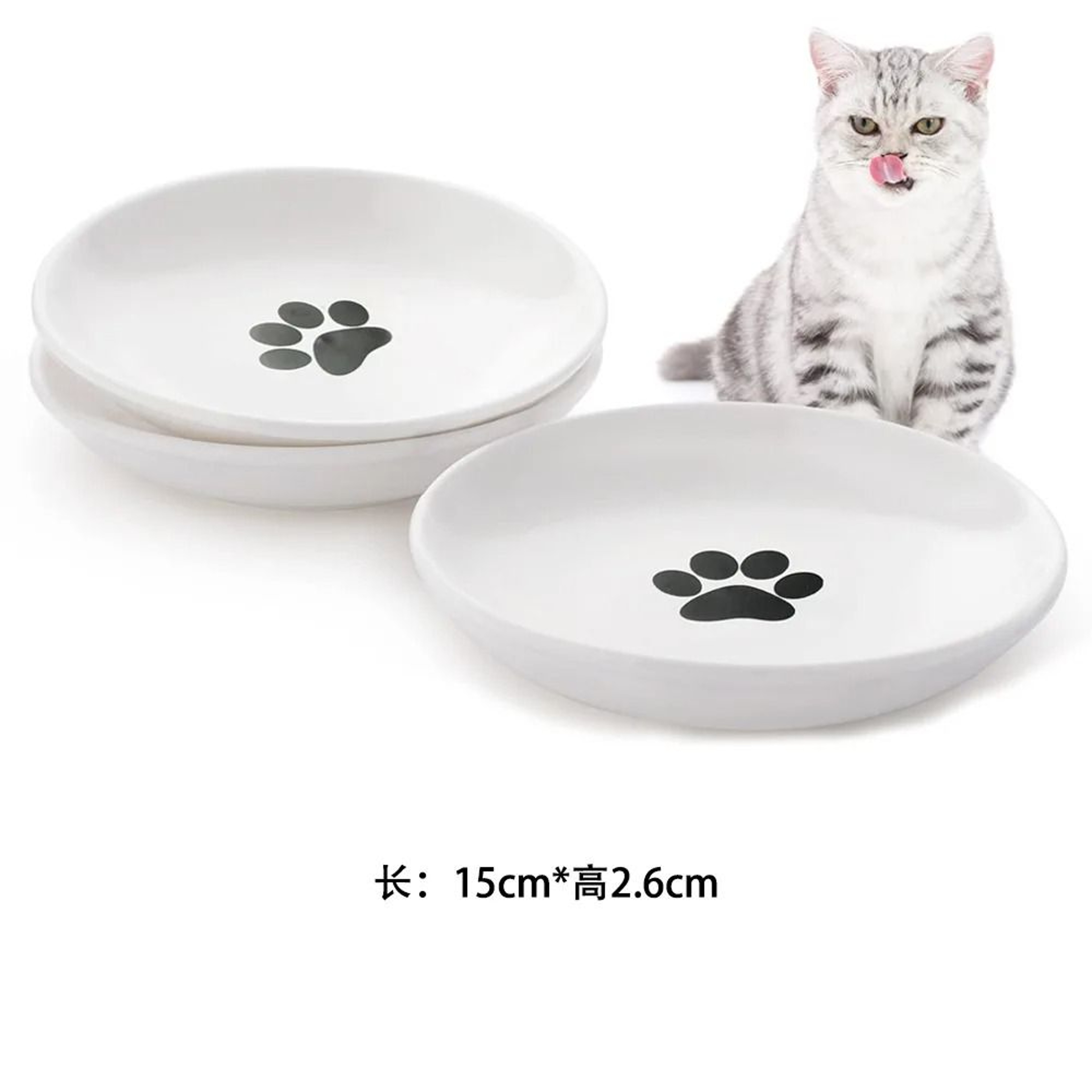 WhiskerFriendly Porcelain Snack Platter 6