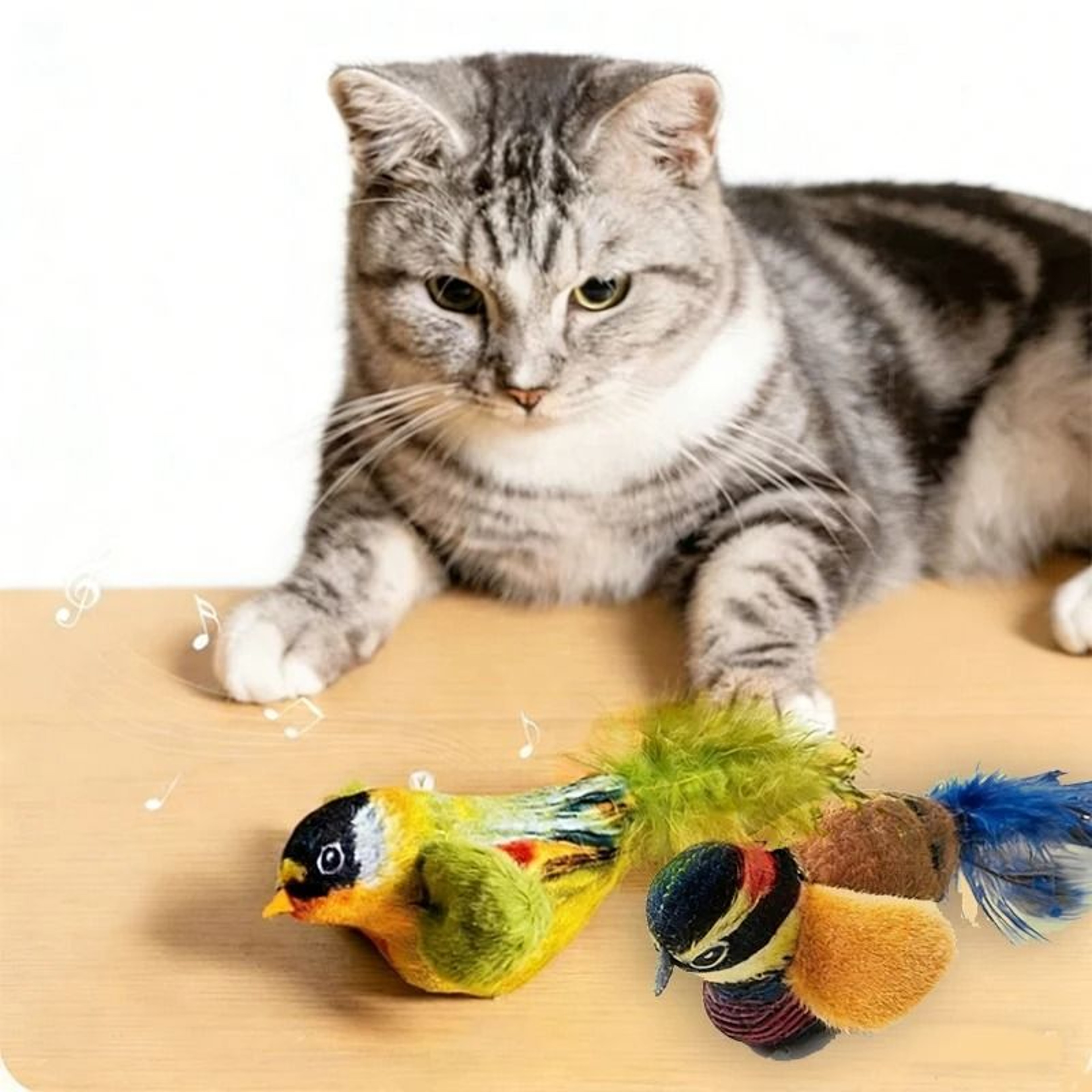 WallHanging Interactive Chirping Bird Teaser 0