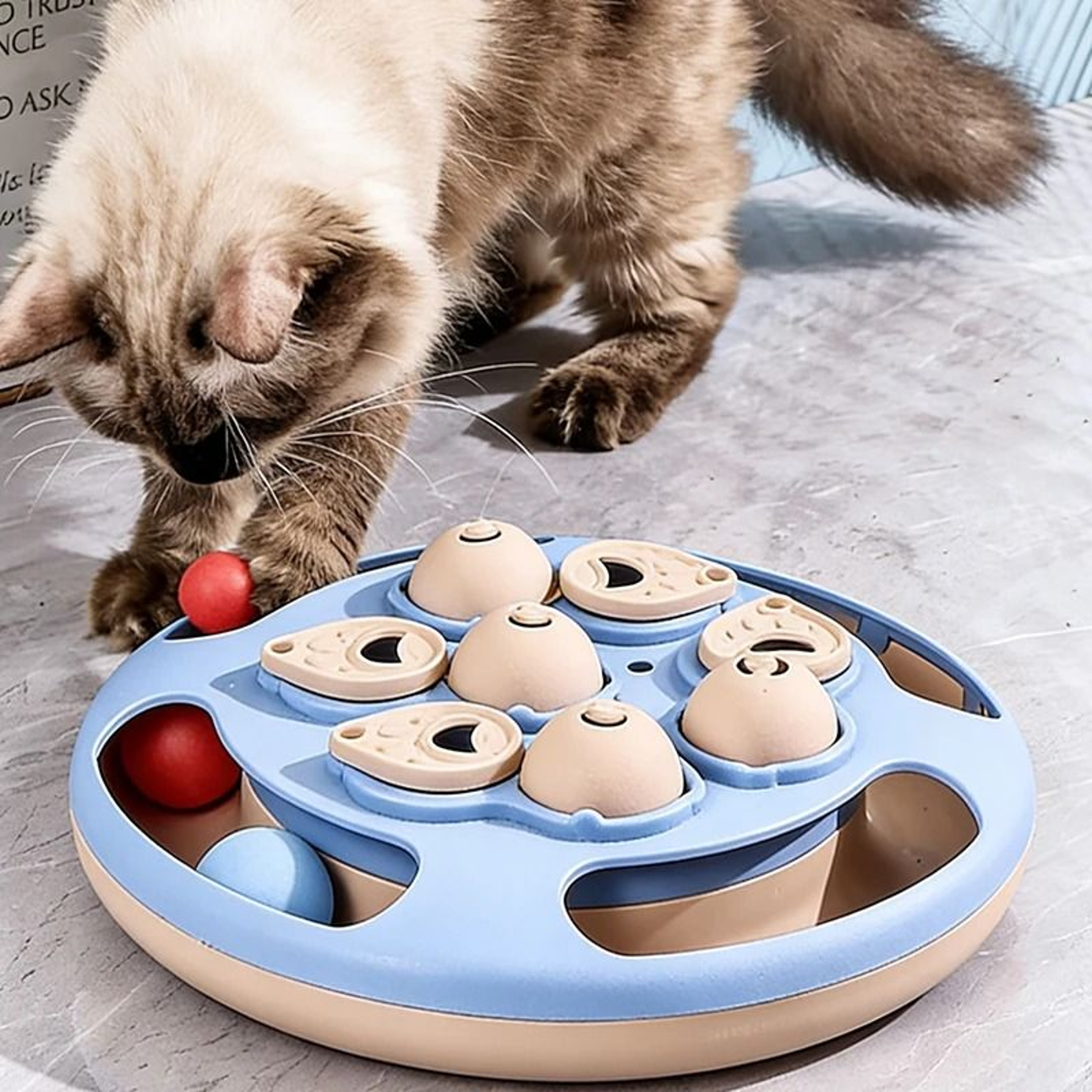 Smart Turntable Puzzle Feeder 5