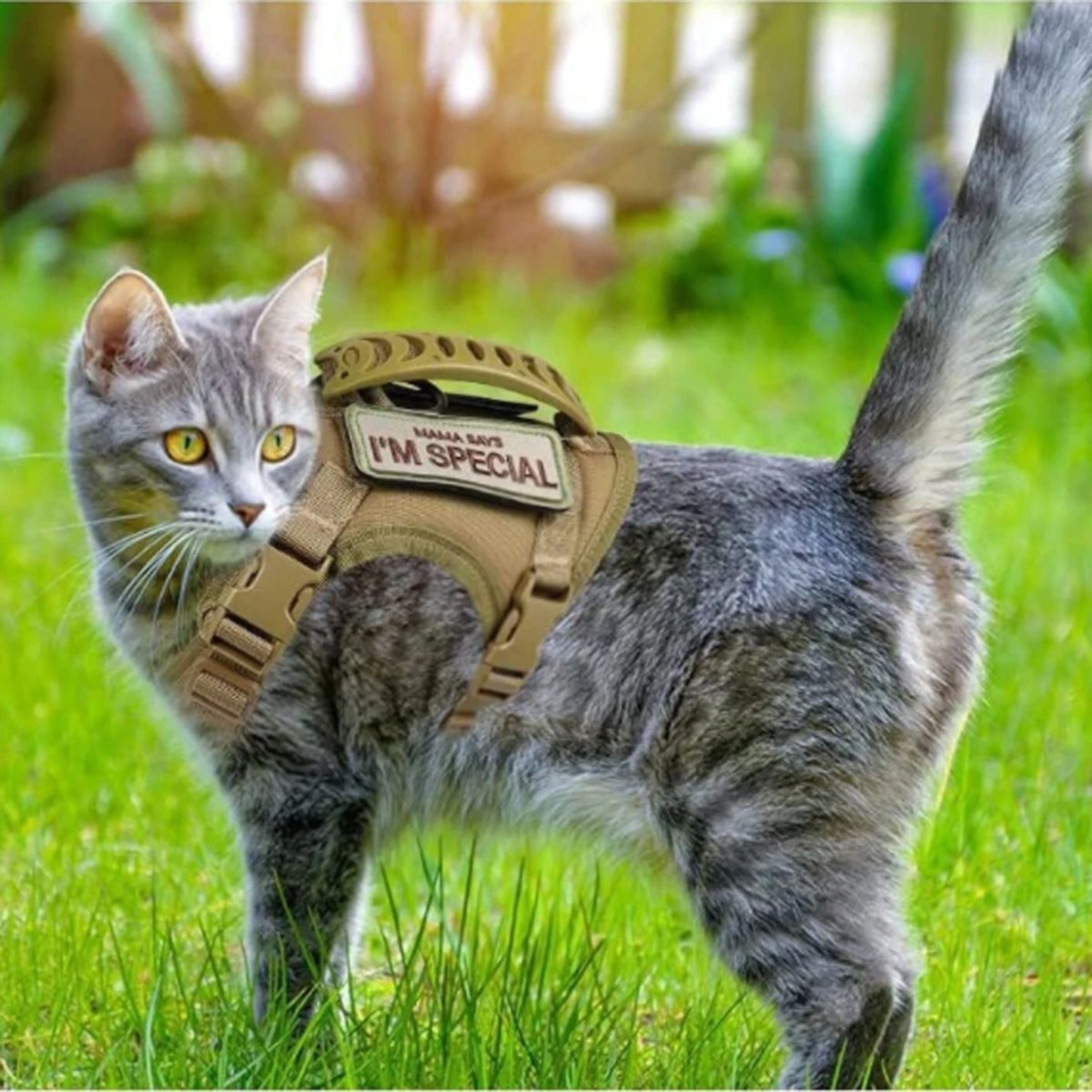 AeroTactical K9Grade Feline Harness 5