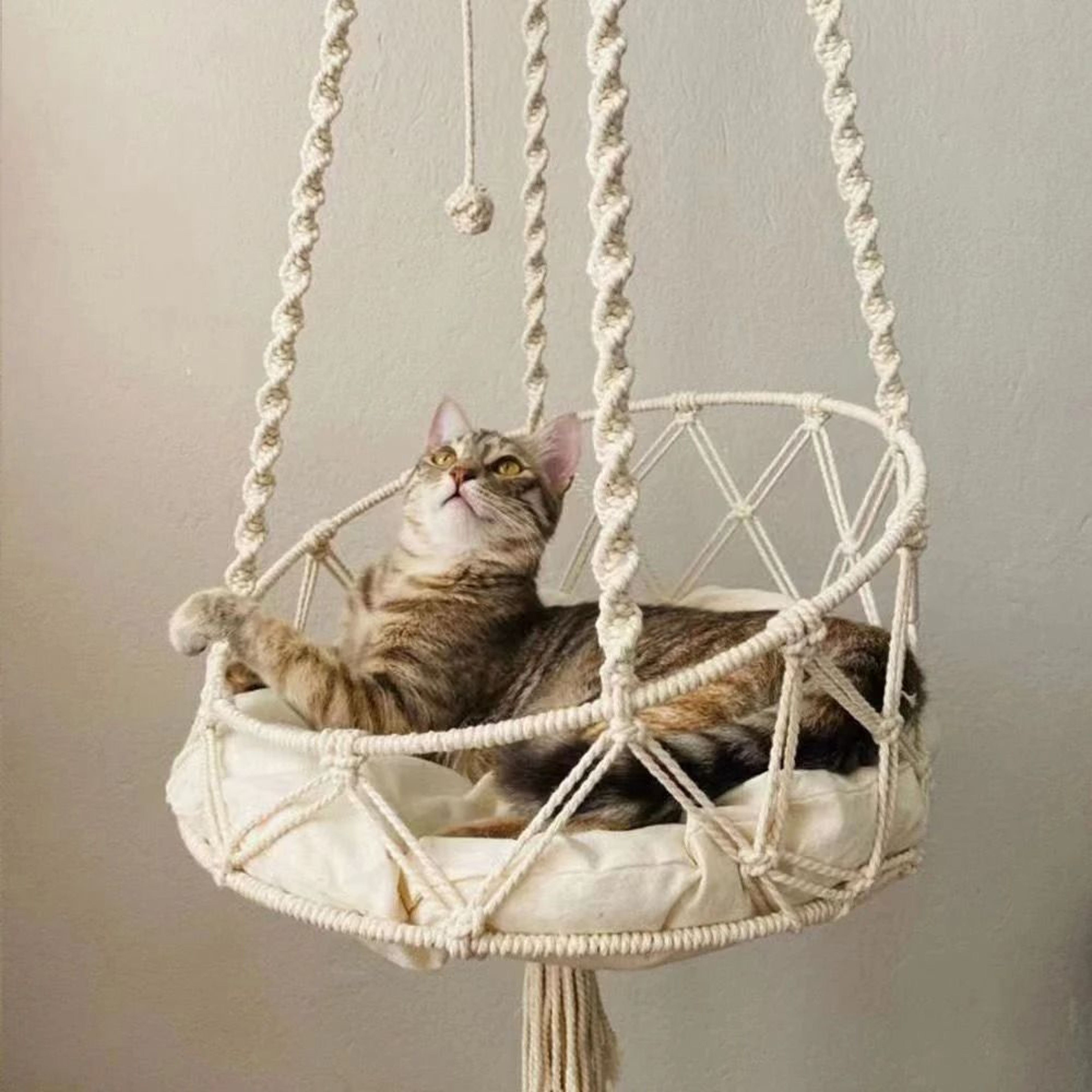 Bohemian HandWoven Suspension Sanctuary 0