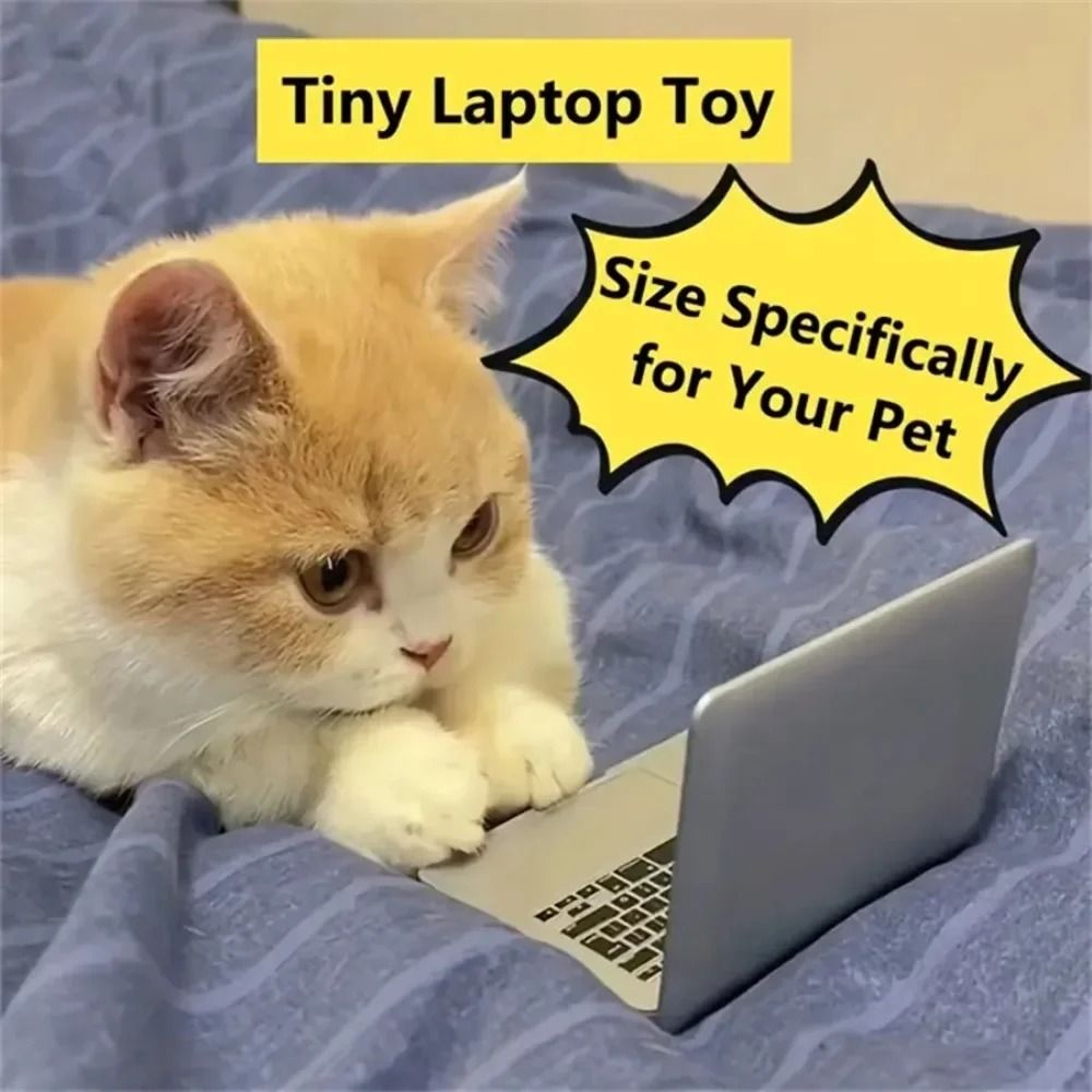 Miniature Feline Computing Mirror Hub 0