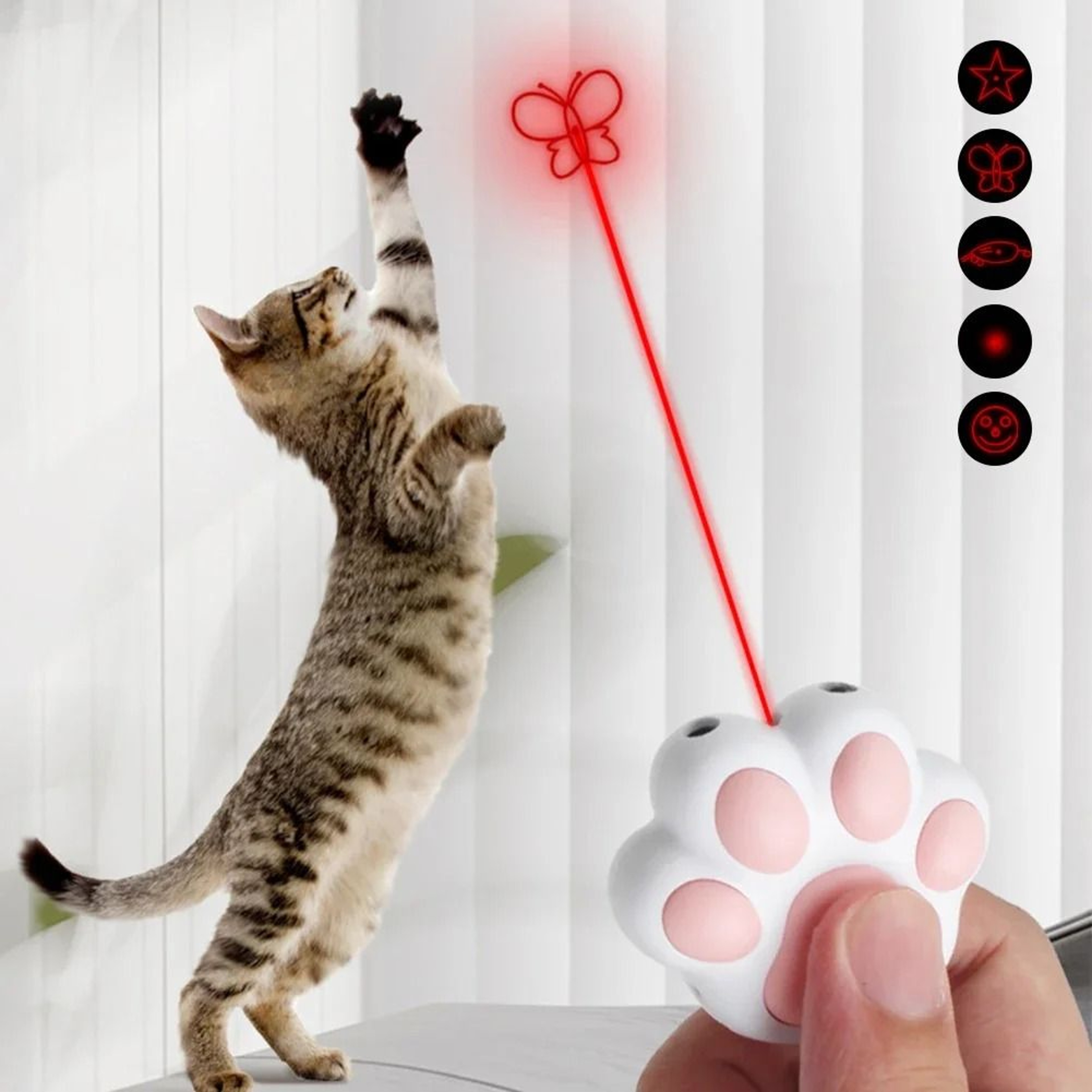 3in1 USB Rechargeable Laser Toy 1