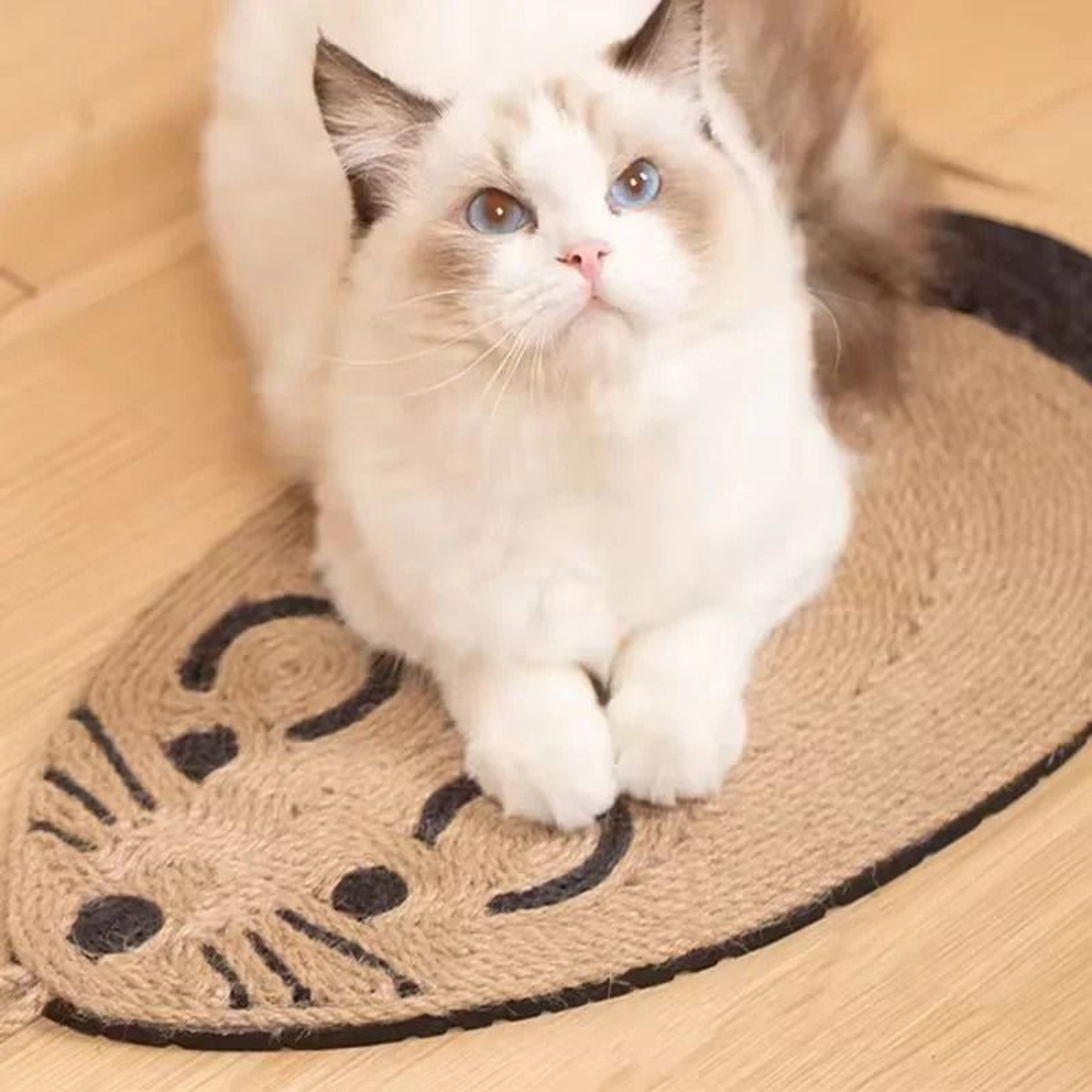 Natural Sisal Cat Scratching Mat 2