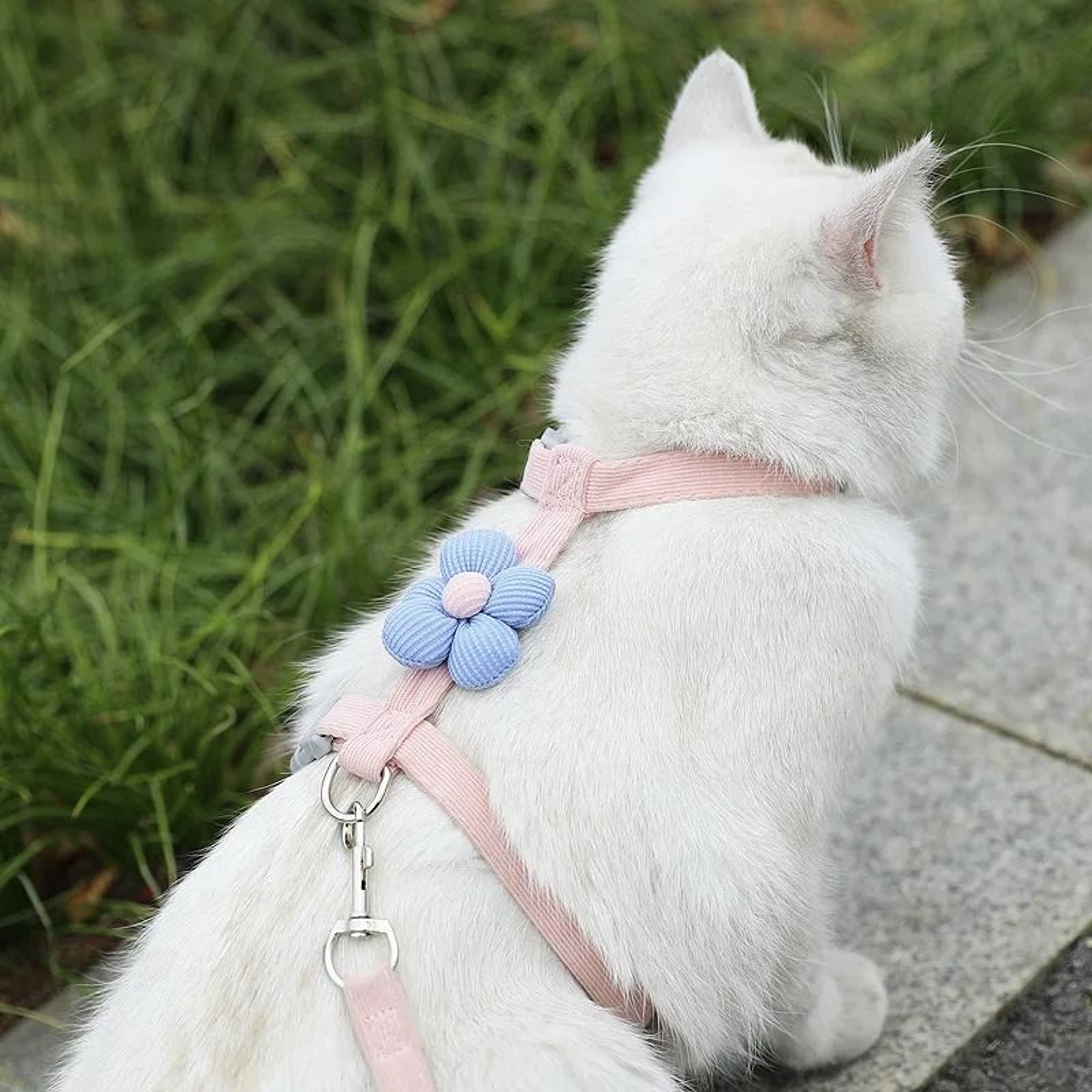 Pastel Flower Harness  Leash Set 9