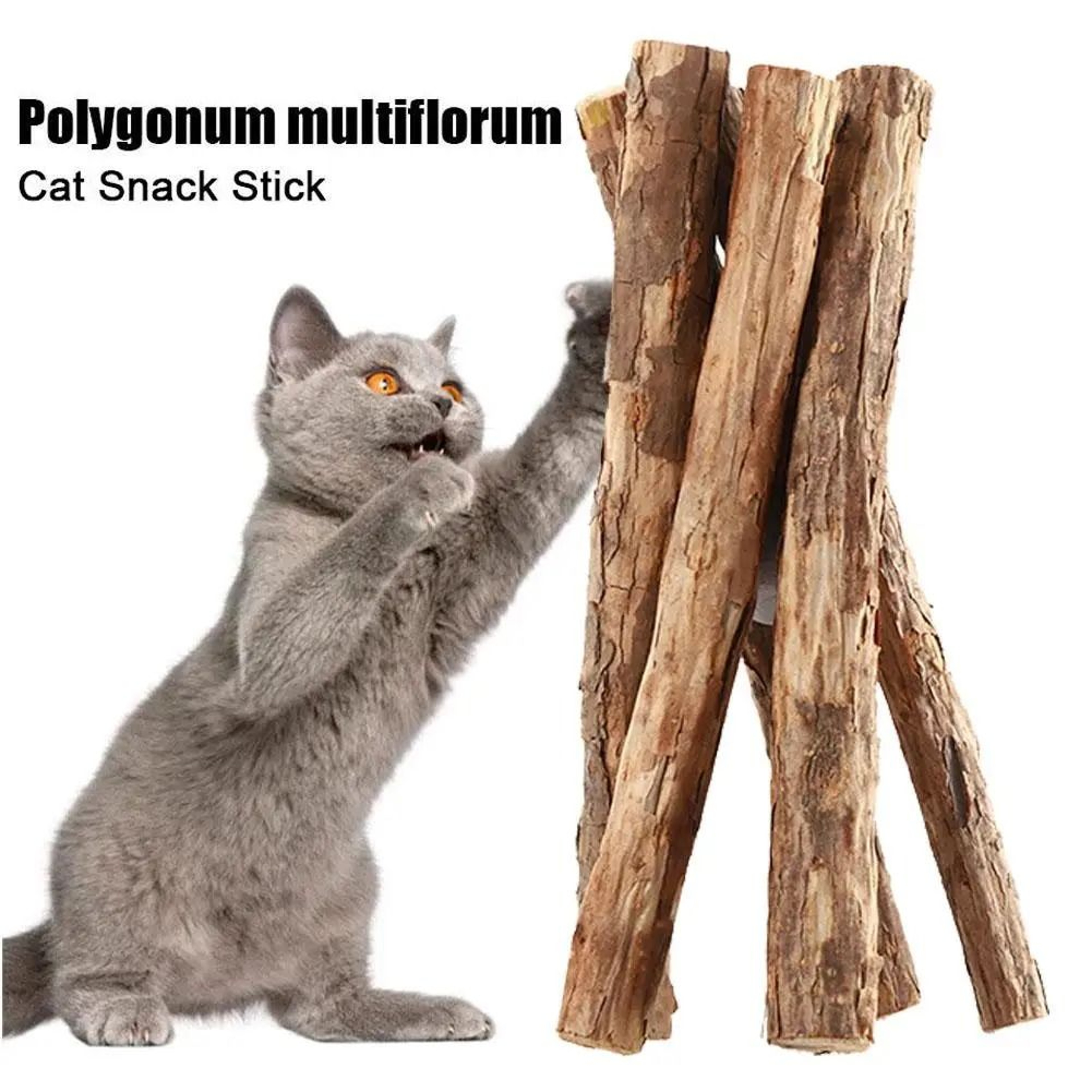 Natural Silvervine Polygonum Molar Sticks 1