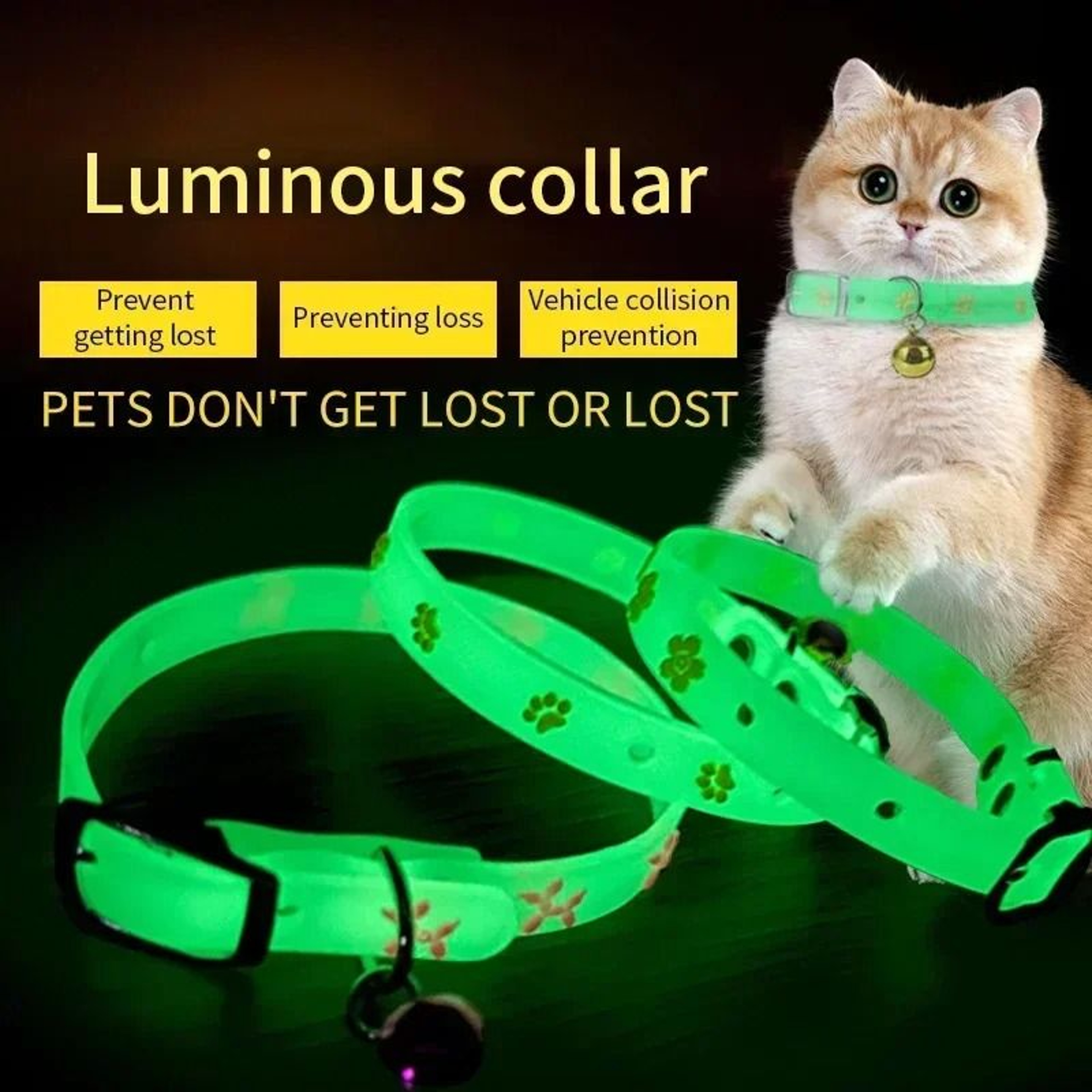 Fluorescent GlowintheDark Silicone Collar 0