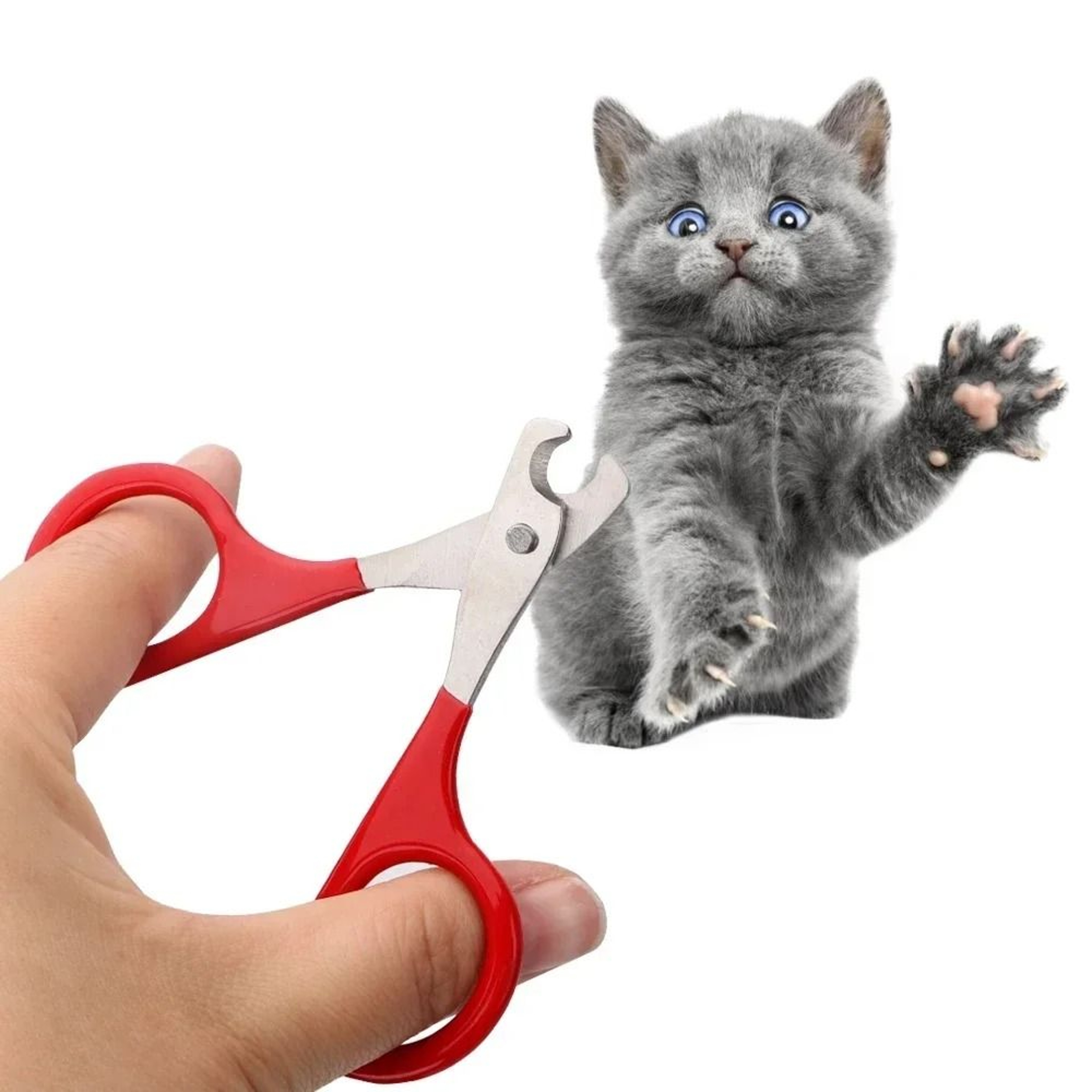 Professional Precision Pet Nail Trimmers 0
