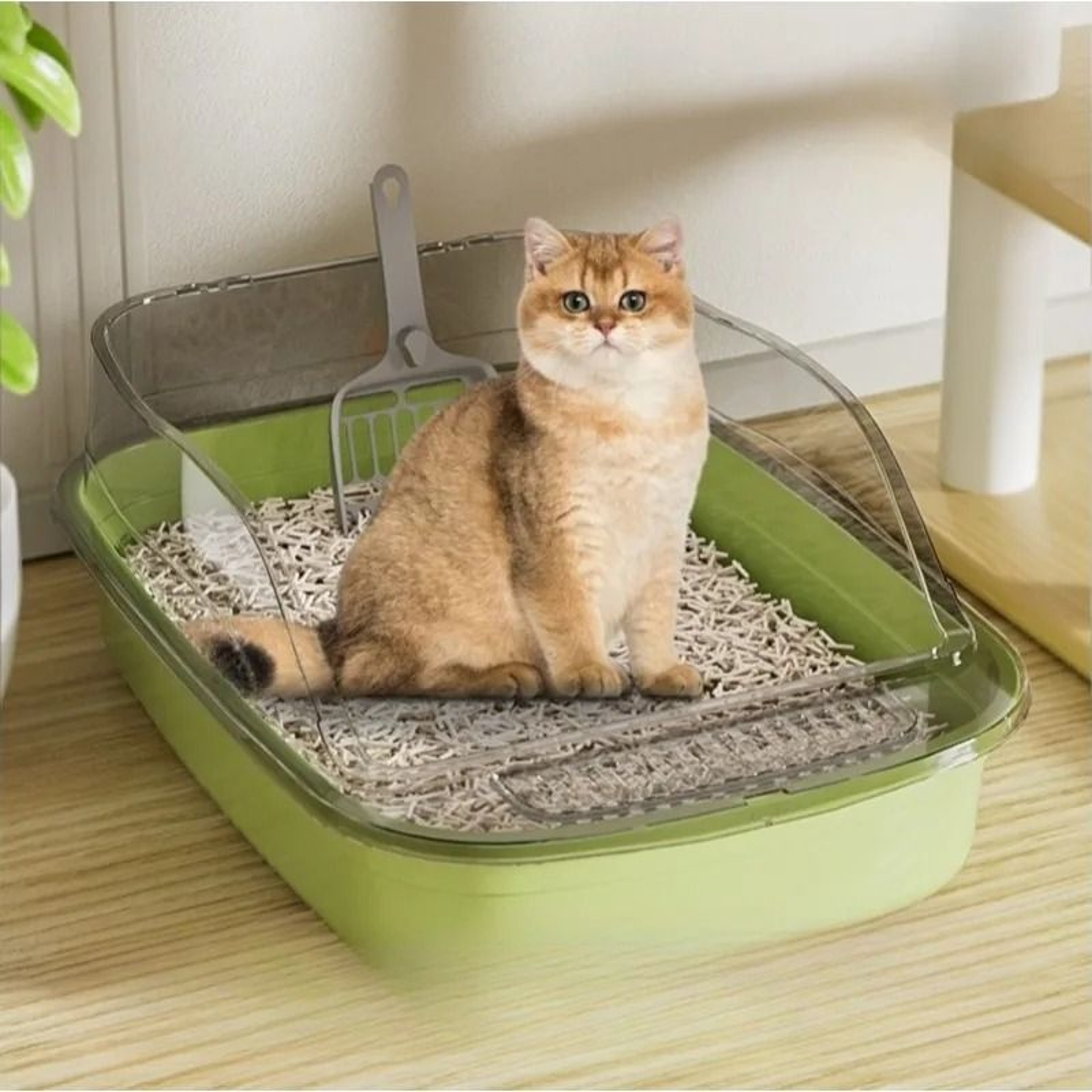AeroShield SemiCovered AntiTracking Pet Toilet 2