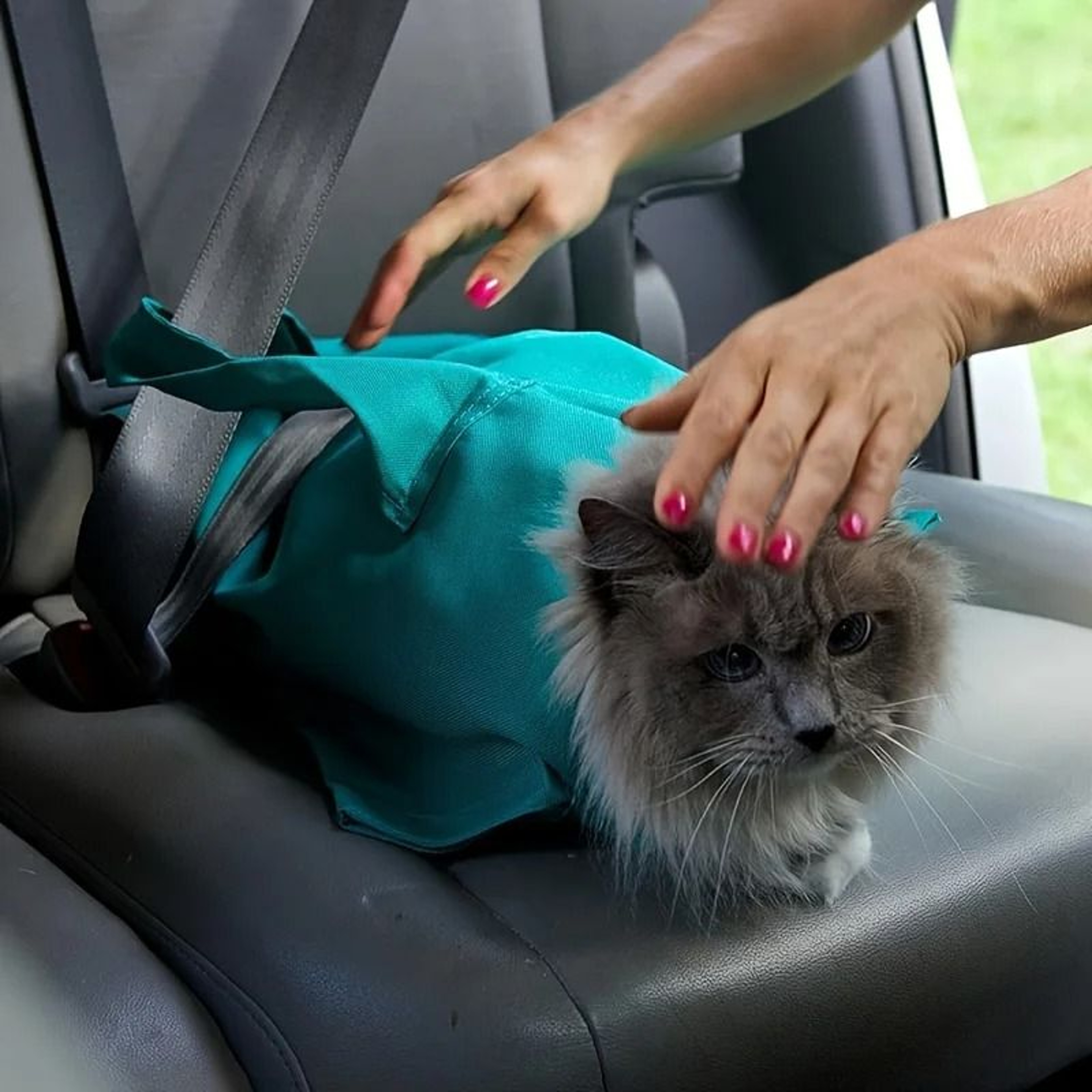 Comfy Soothing HandsFree Cat Sling Carrier 1