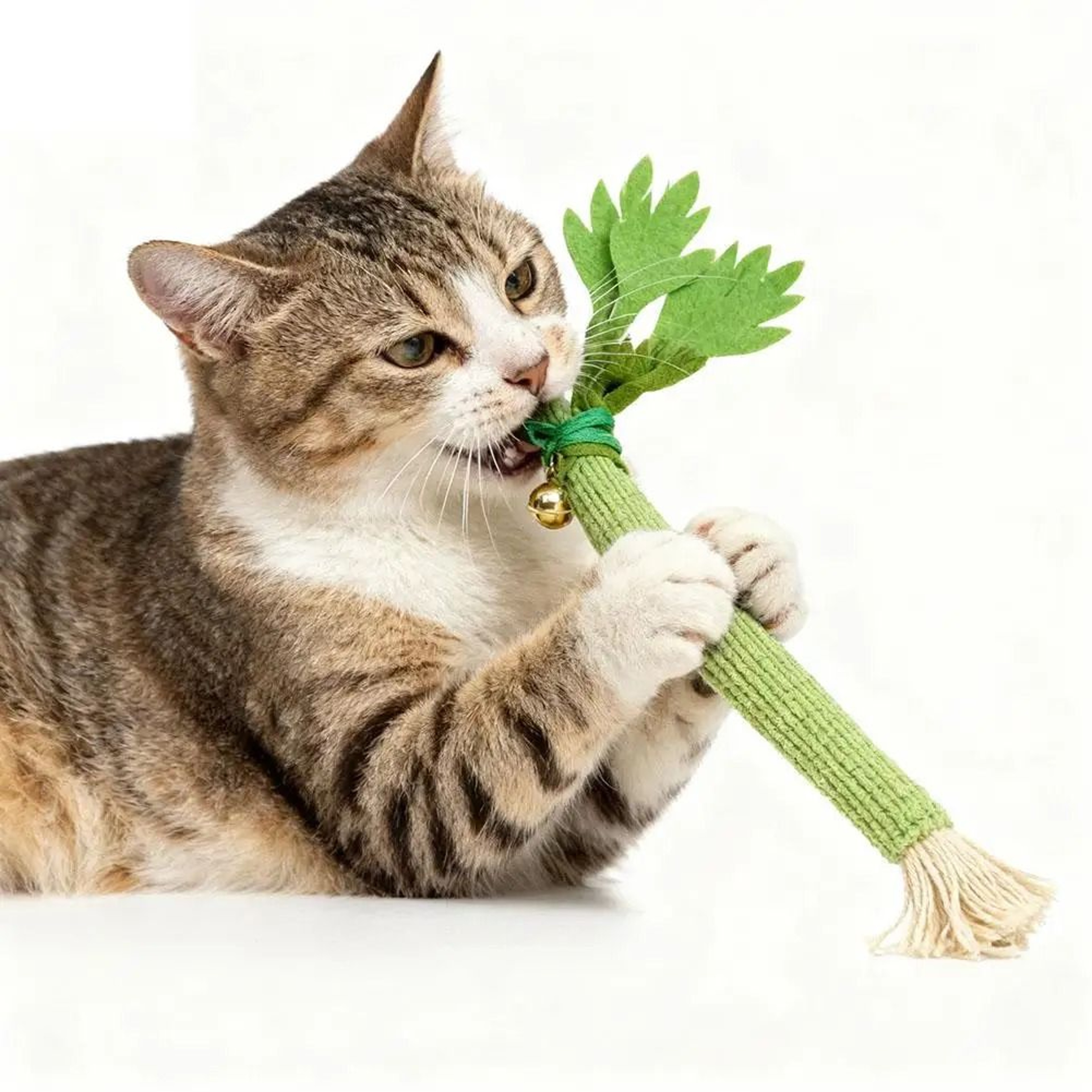 Realistic Celery Catnip Kicking Stick 0