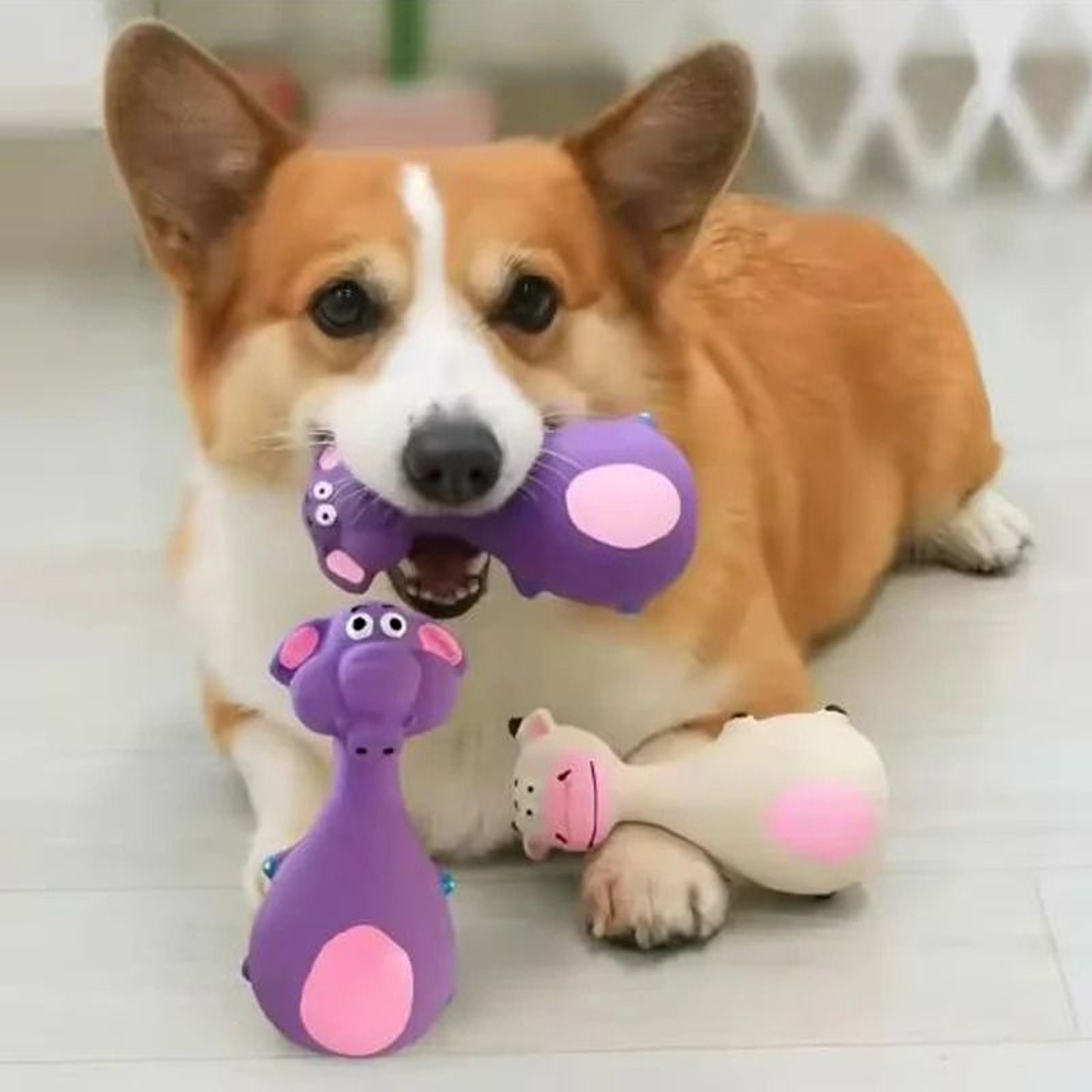 Interactive Latex Squeaky Animal Pet Toy 1