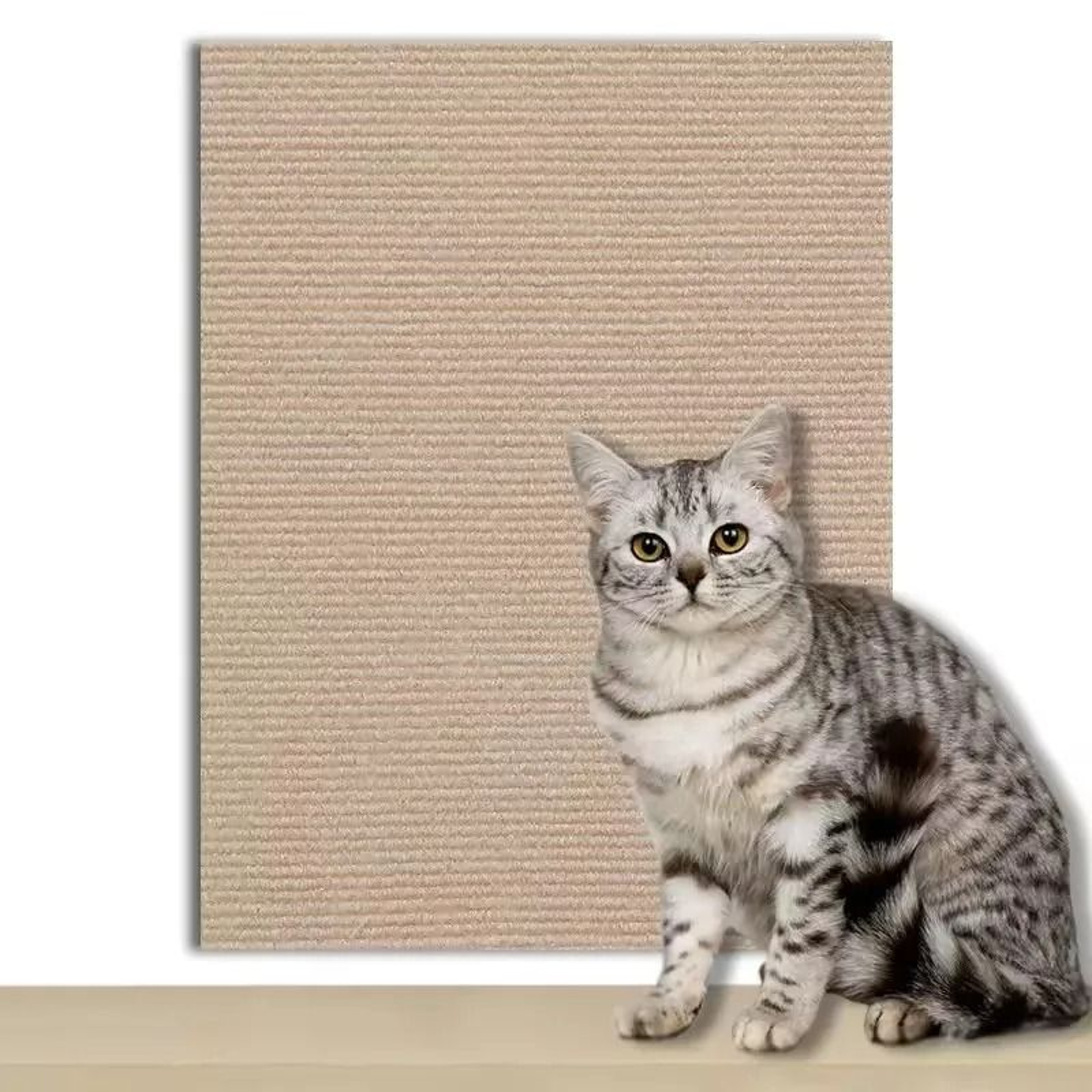 SelfAdhesive HeavyDuty Trimmable Carpet Scratching Mat 11